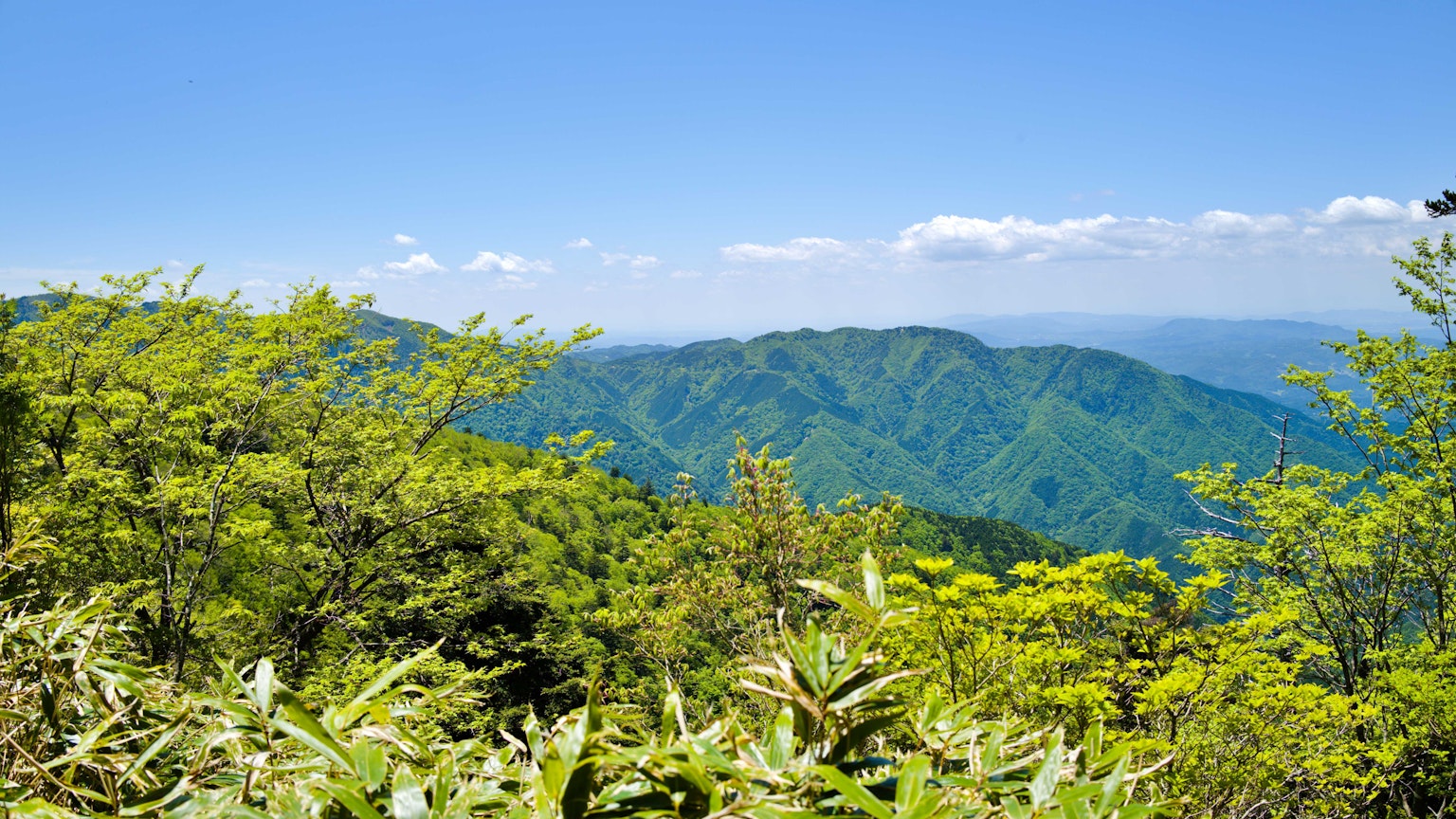 蓝天下郁郁葱葱的山脉风景