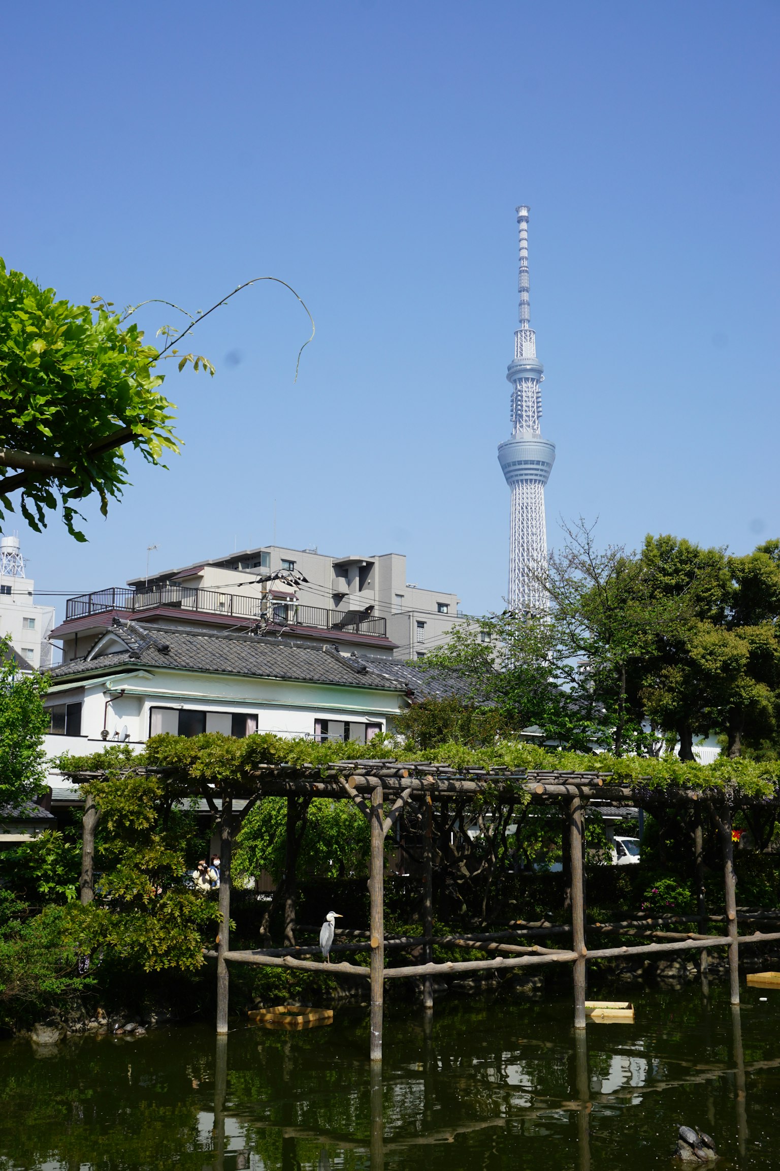 东京晴空塔与郁郁葱葱的花园景观