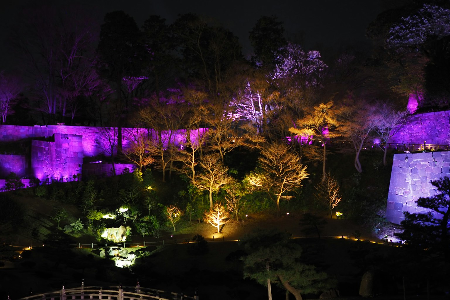Bellissima scena di alberi illuminati e muri di pietra in un giardino notturno