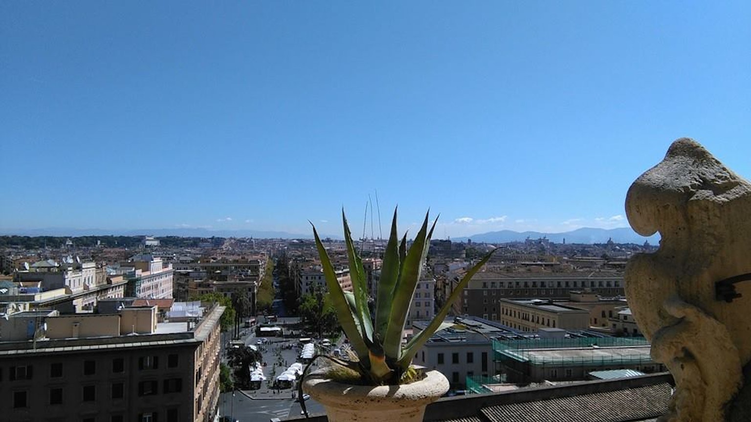 Una pianta in vaso in primo piano con vista sulla città e cielo blu a Roma
