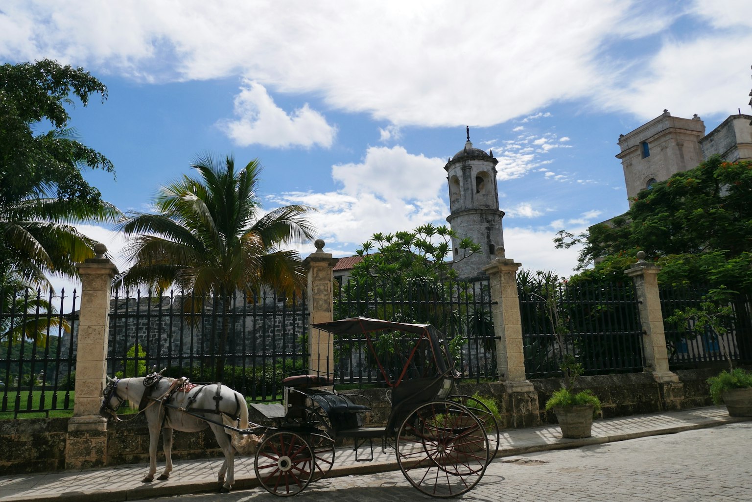 Carroza tirada por caballos junto a una torre de iglesia y palmeras