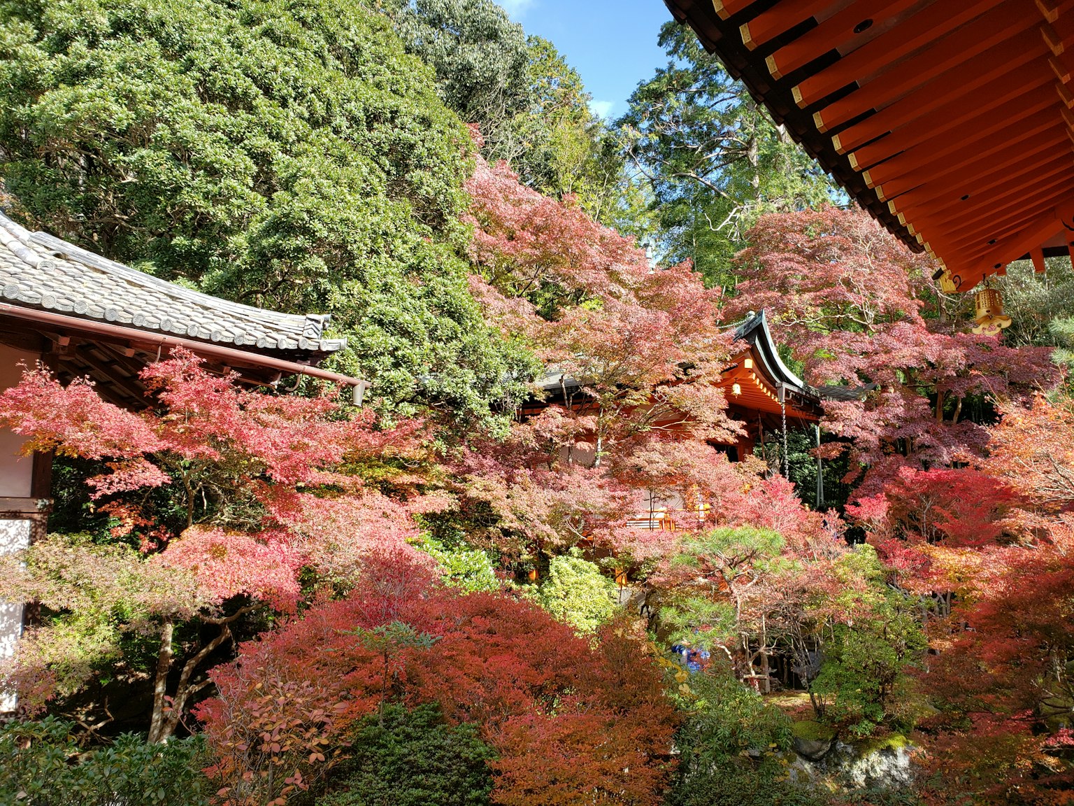 Bâtiment japonais traditionnel entouré de magnifiques feuillages d'automne