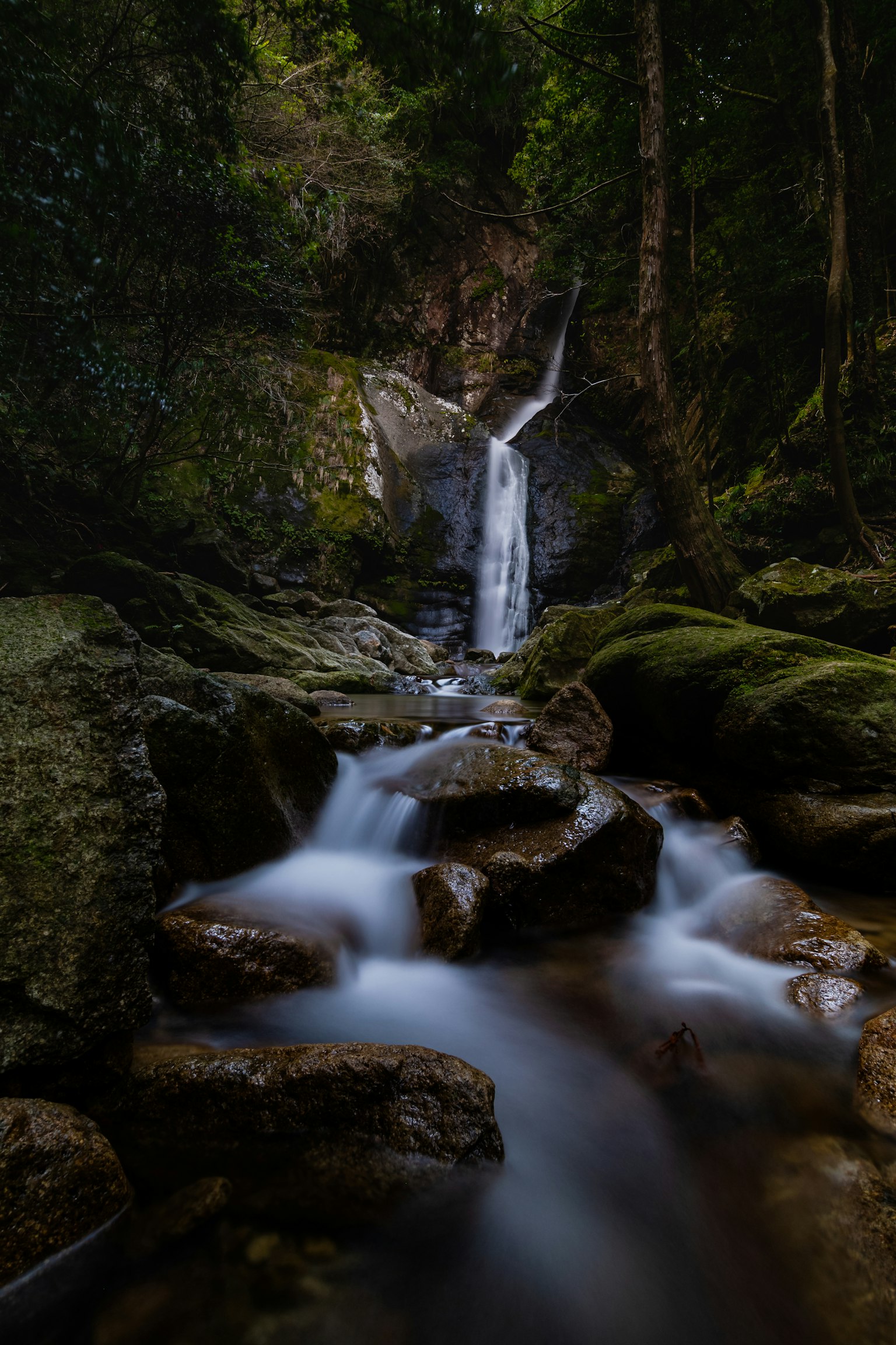Una cascada serena que fluye a través de un valle verde con rocas y agua fluyendo
