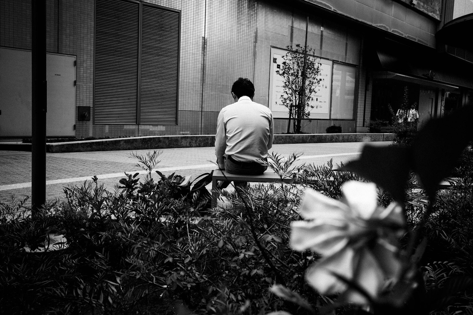 Un homme assis de dos dans un cadre urbain en noir et blanc avec des fleurs