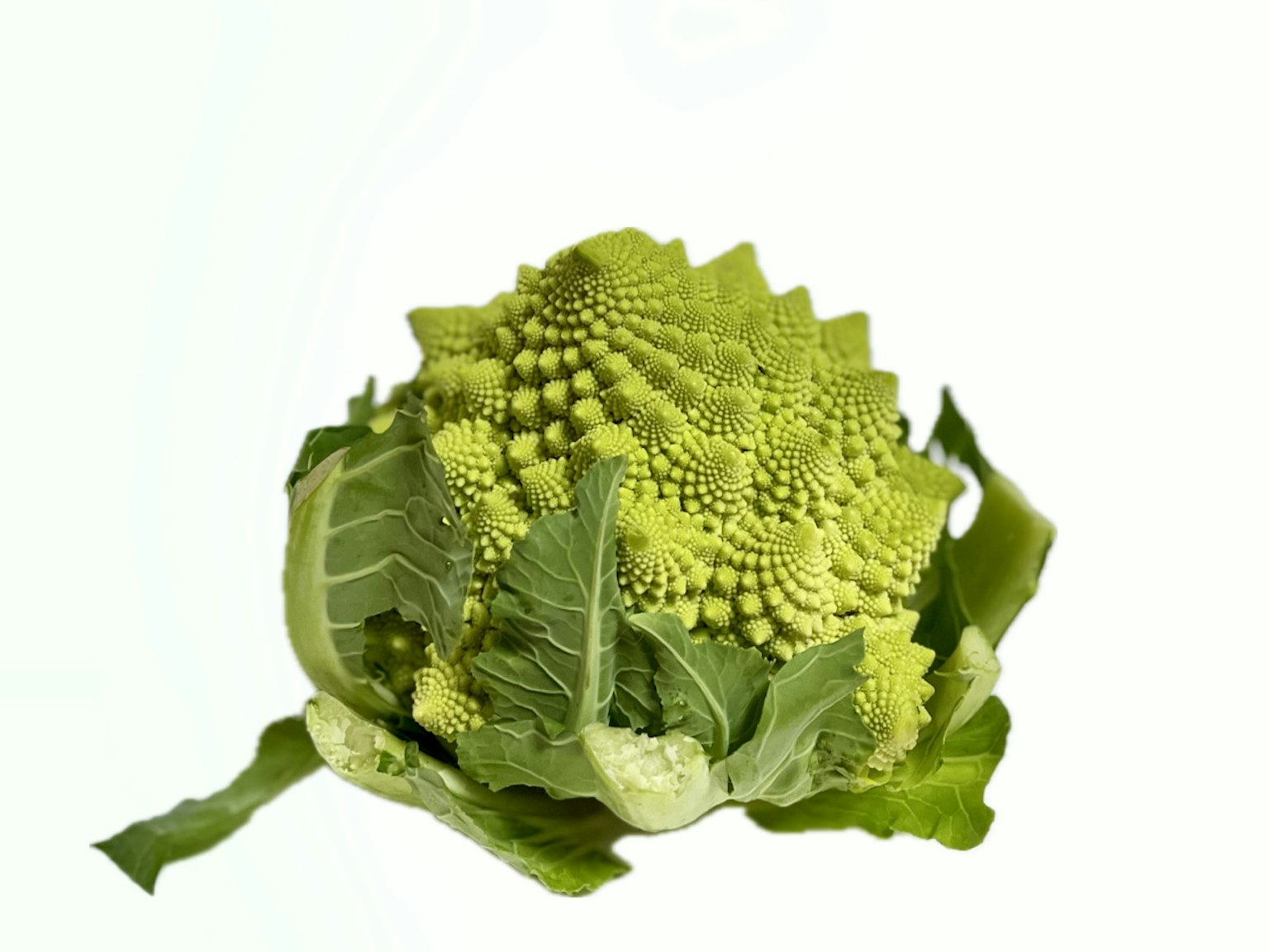 Sayuran romanesco hijau yang terletak di atas daunnya