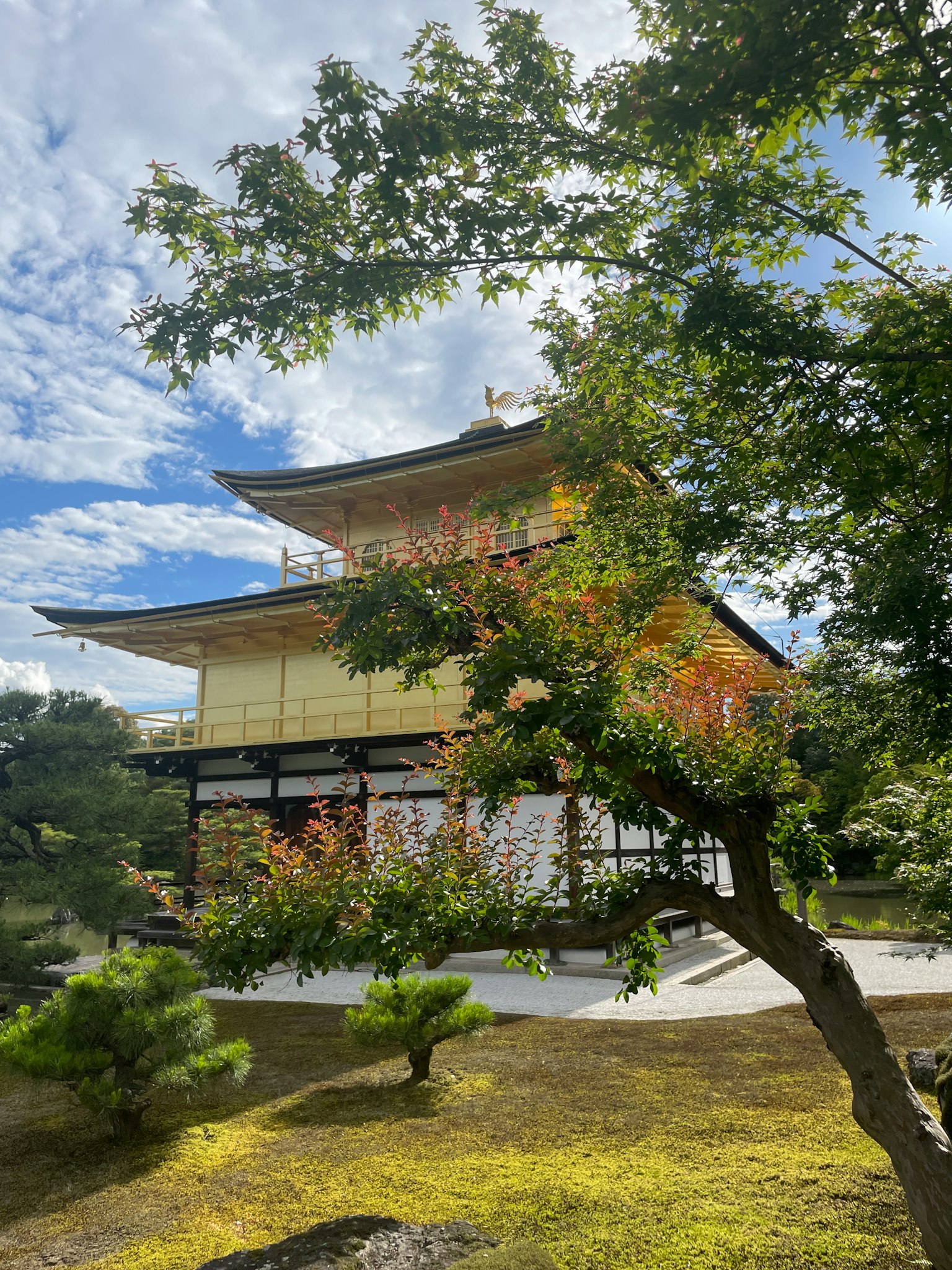 Kuil Kinkaku-ji dikelilingi oleh pepohonan rimbun dan langit biru