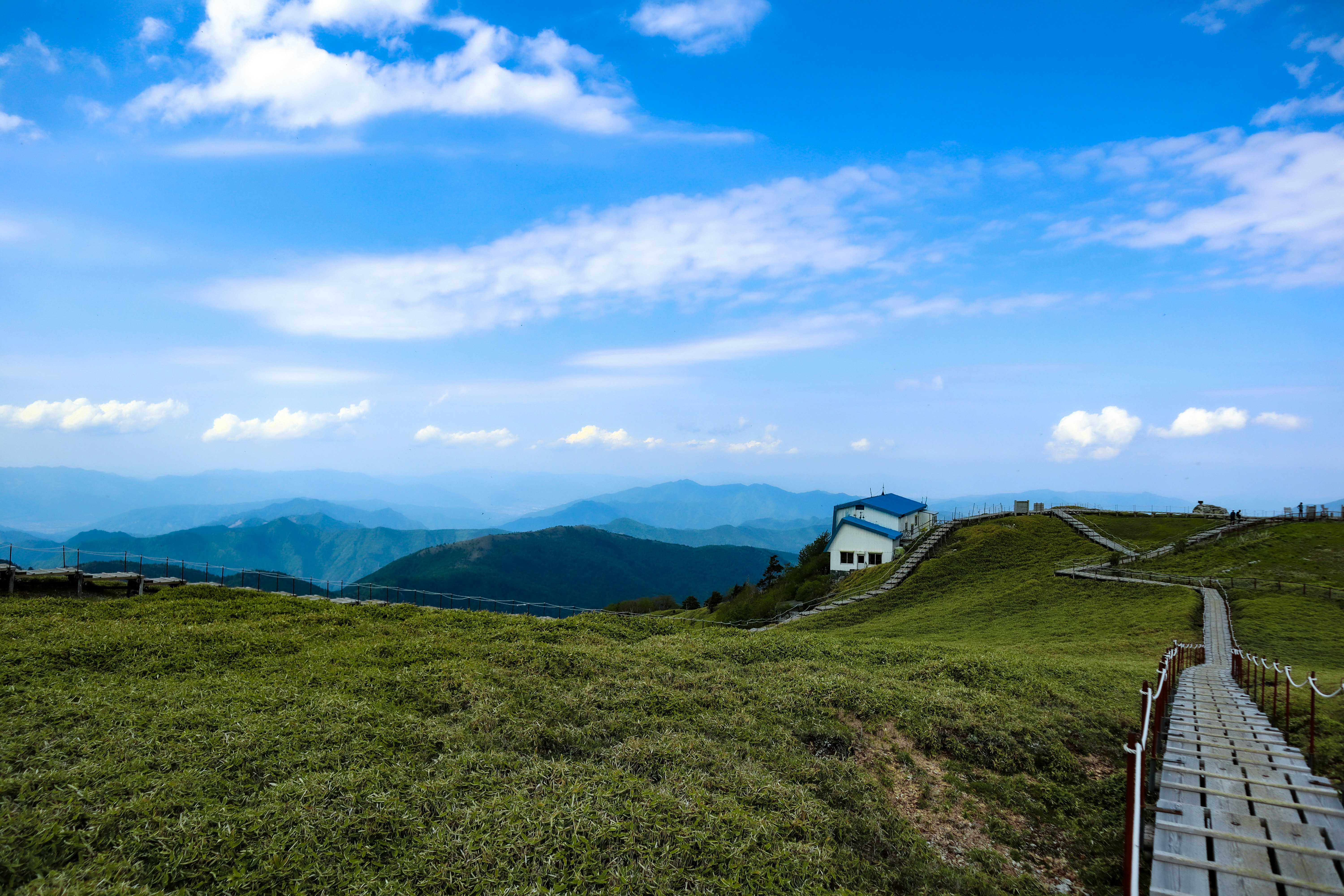 剣山の稜線を見下ろす草原と登山道の景色