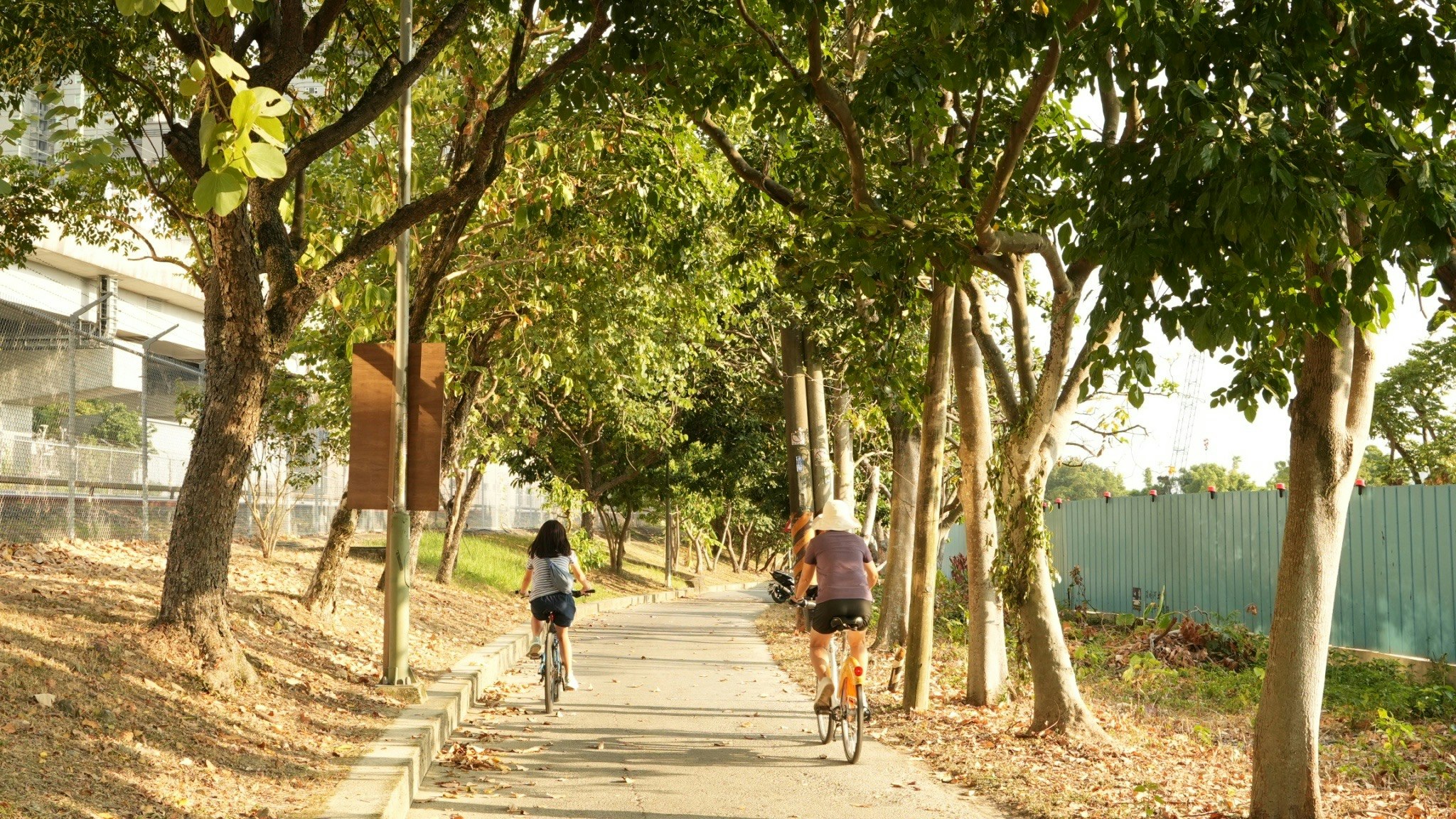 木陰の並木道を自転車で走る人たち