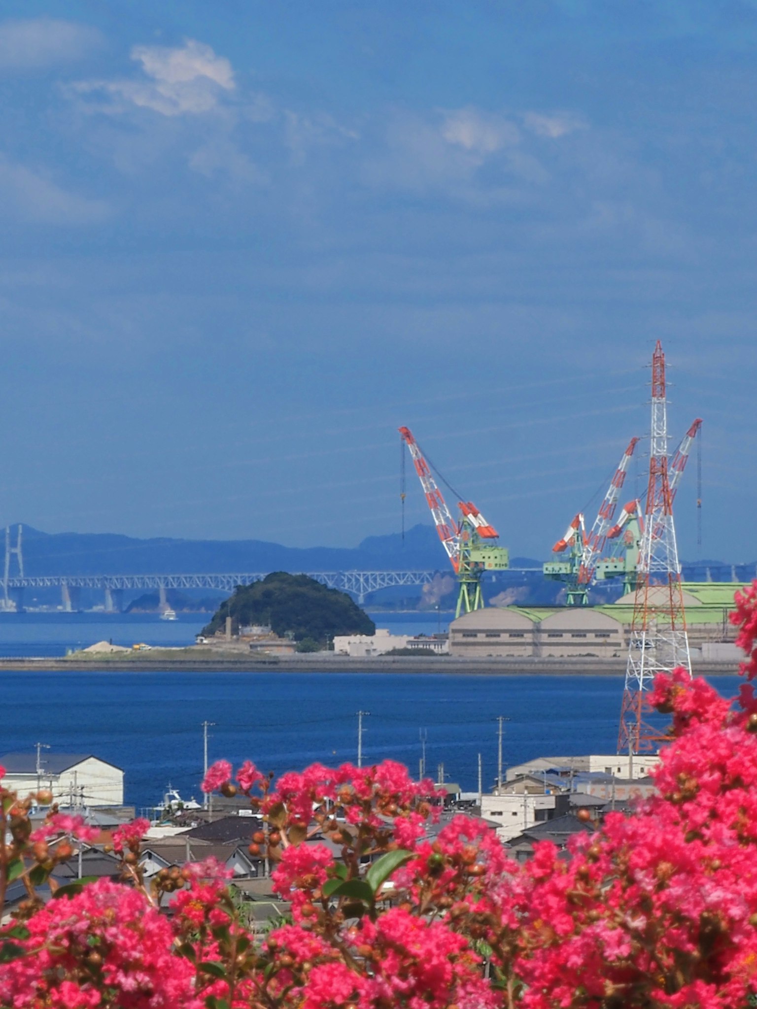 Bunga bougainvillea merah muda dengan derek dan pulau di latar belakang di bawah langit biru