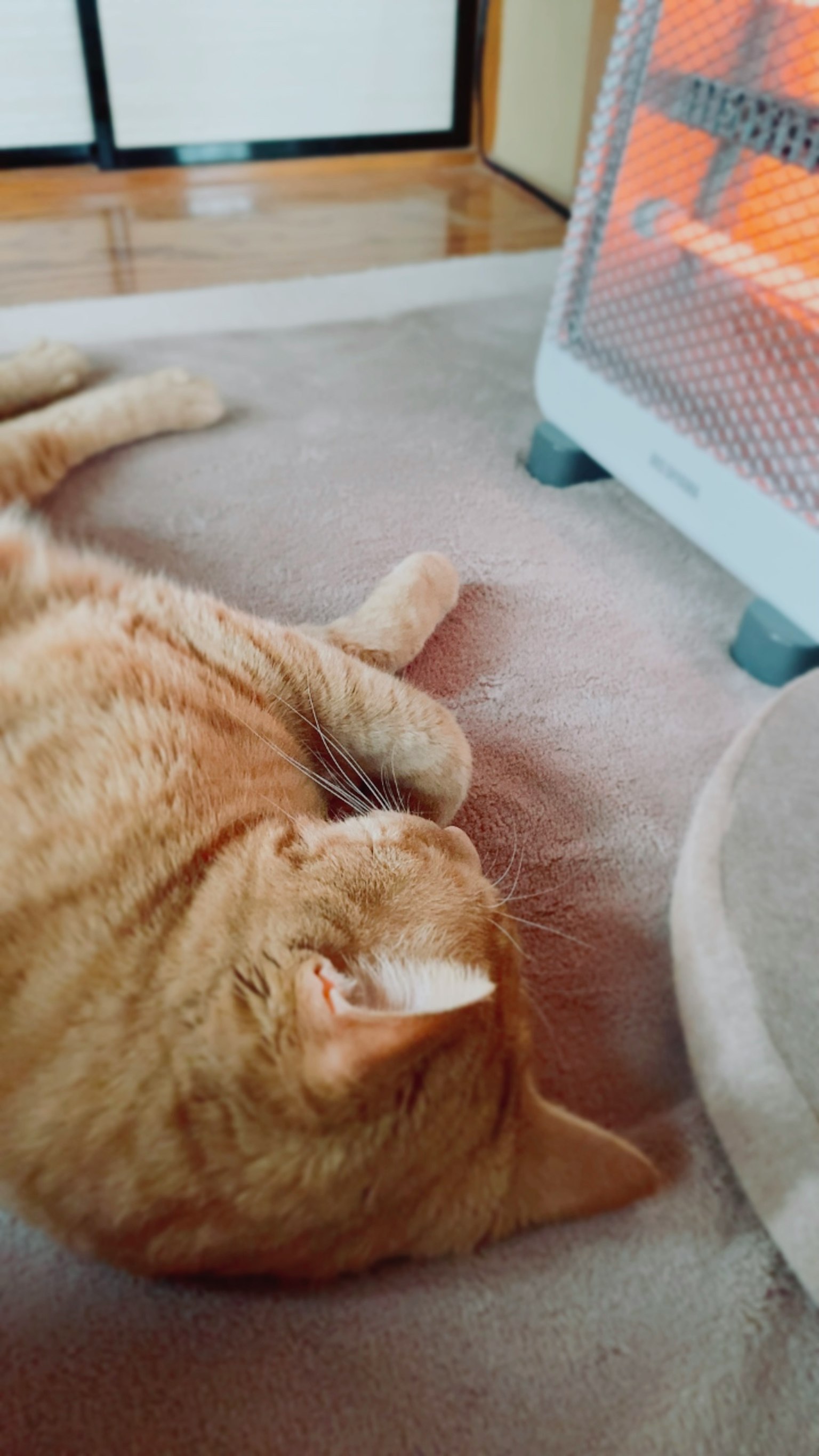 Orange cat lying near a warm heater