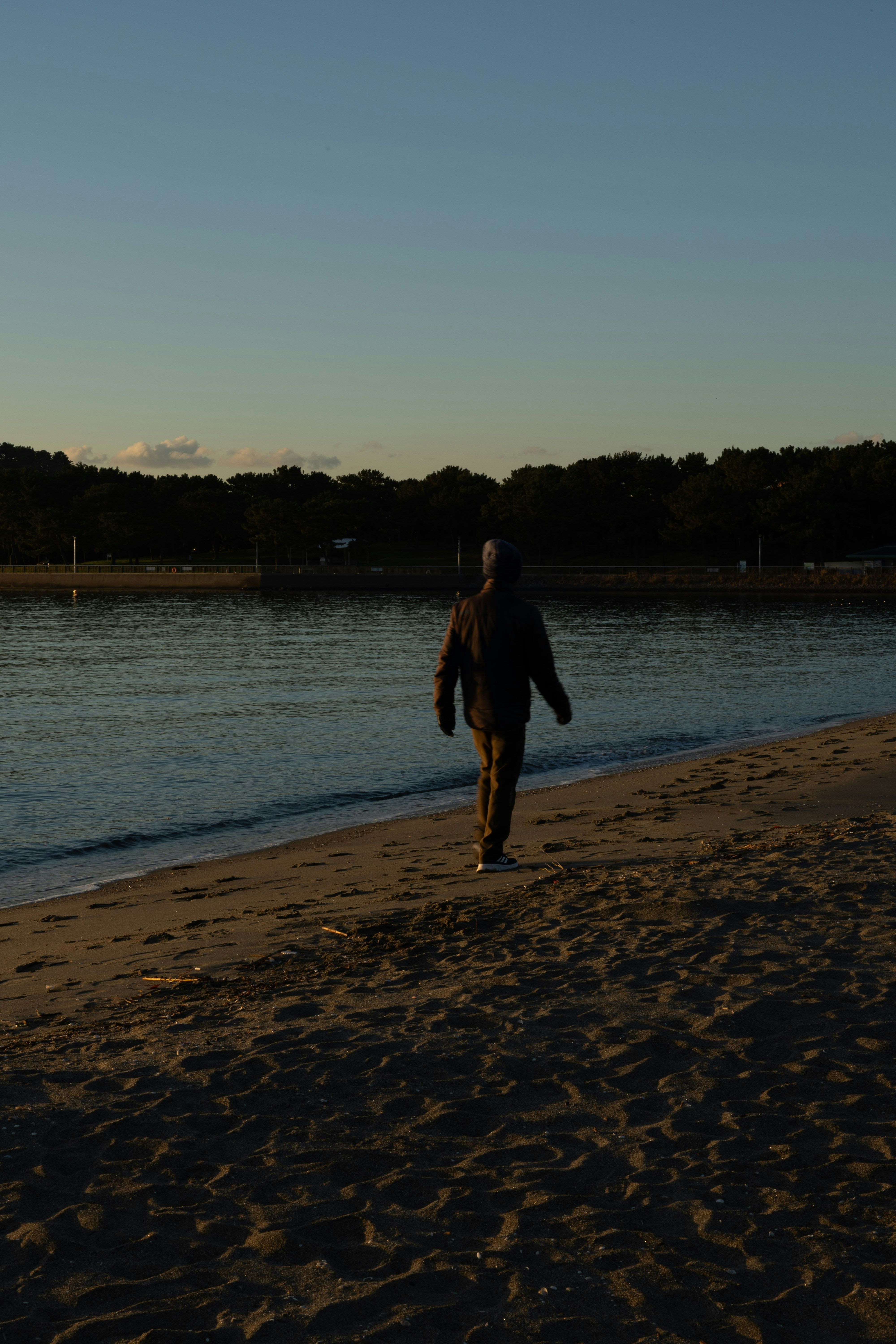 夕暮れの海辺を歩く人
