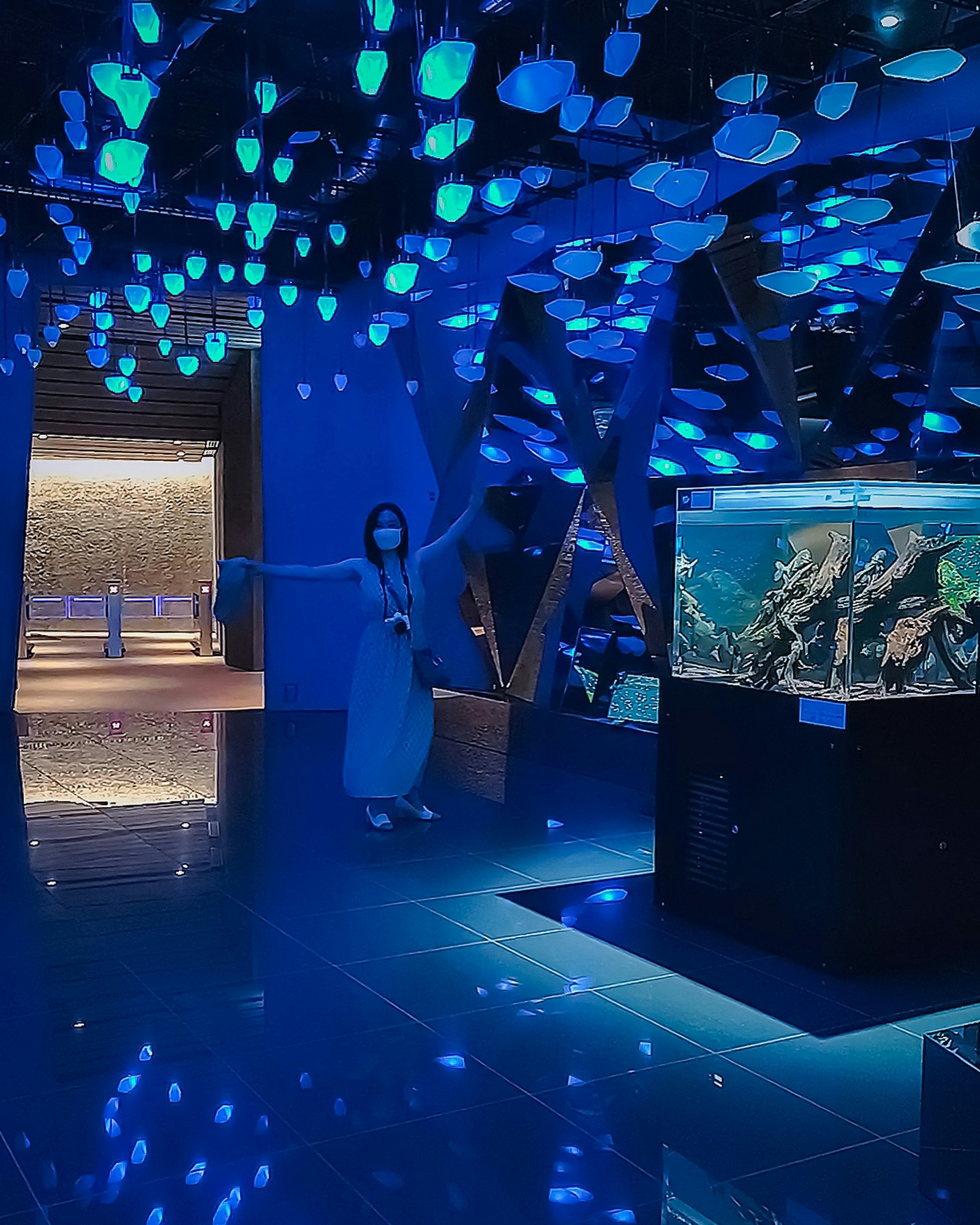 青い光に照らされた水槽アート空間の展示