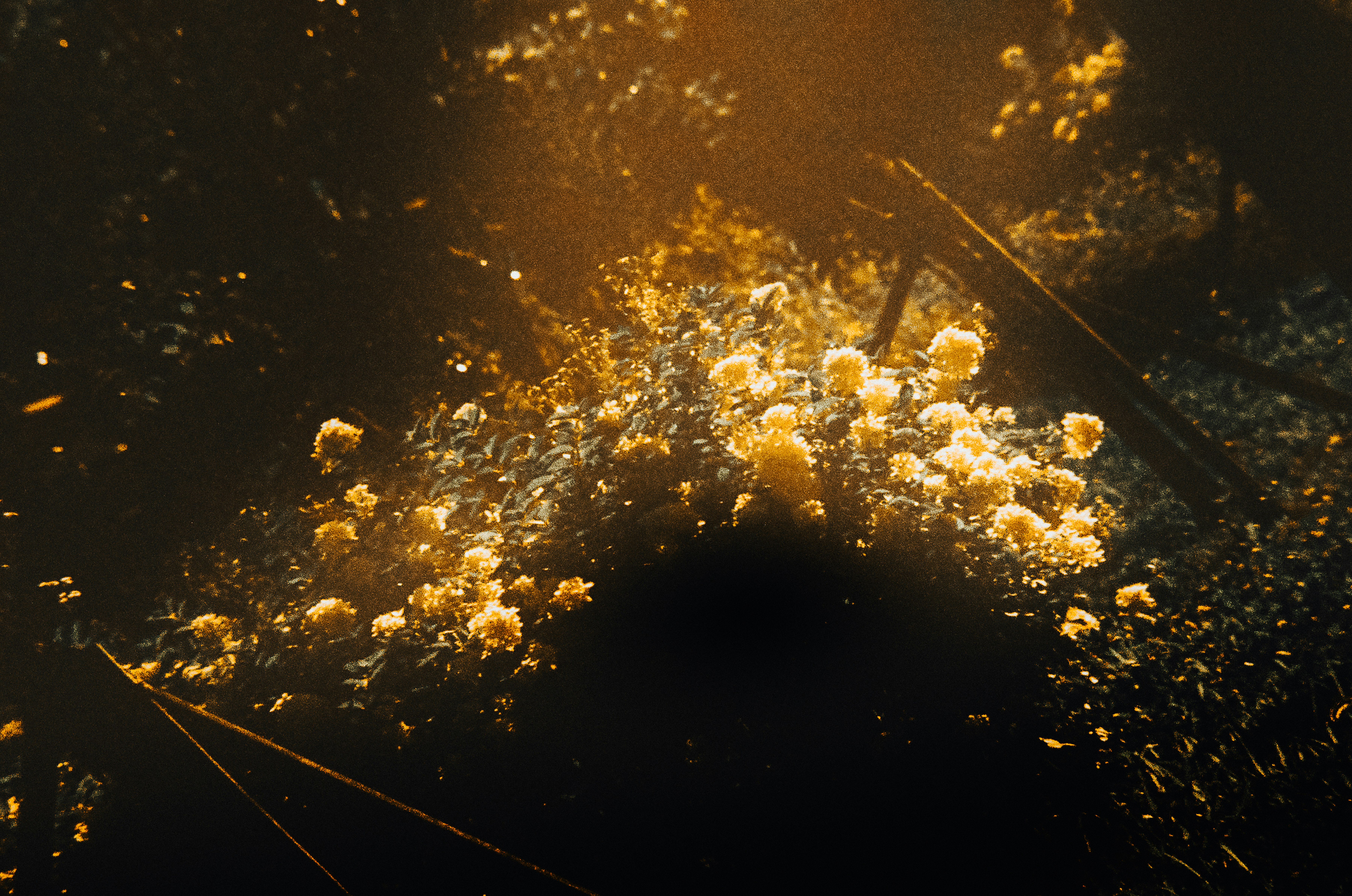 photo-0u1hihluUDa5xiILMV96-image
