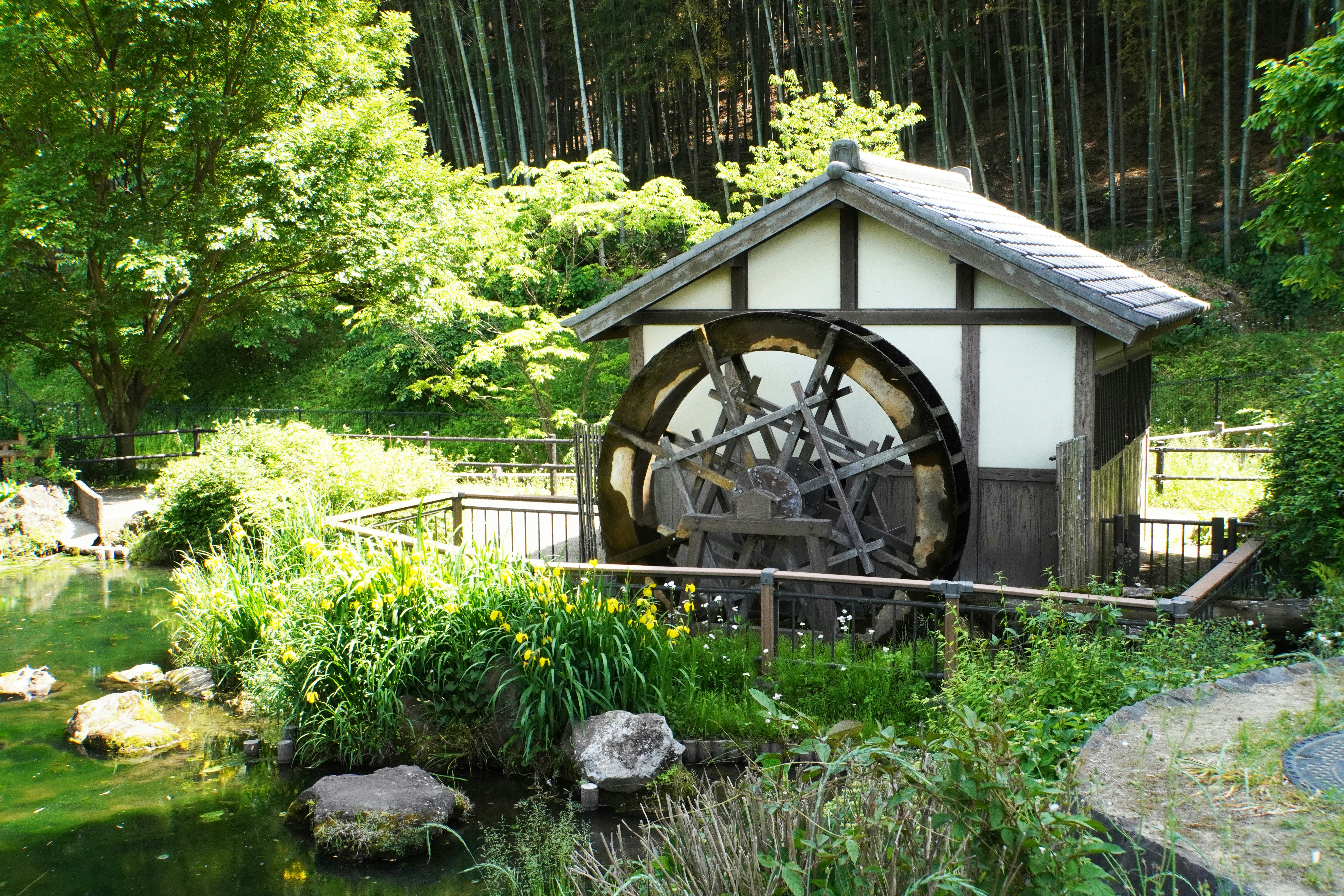 森の小川沿いにある水車小屋と石の小道