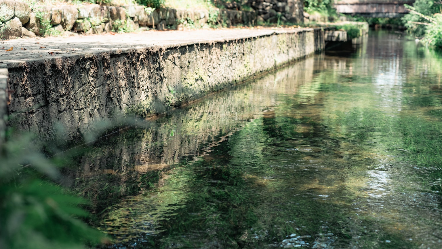 Chemin paisible au bord de l'eau avec des reflets dans l'eau