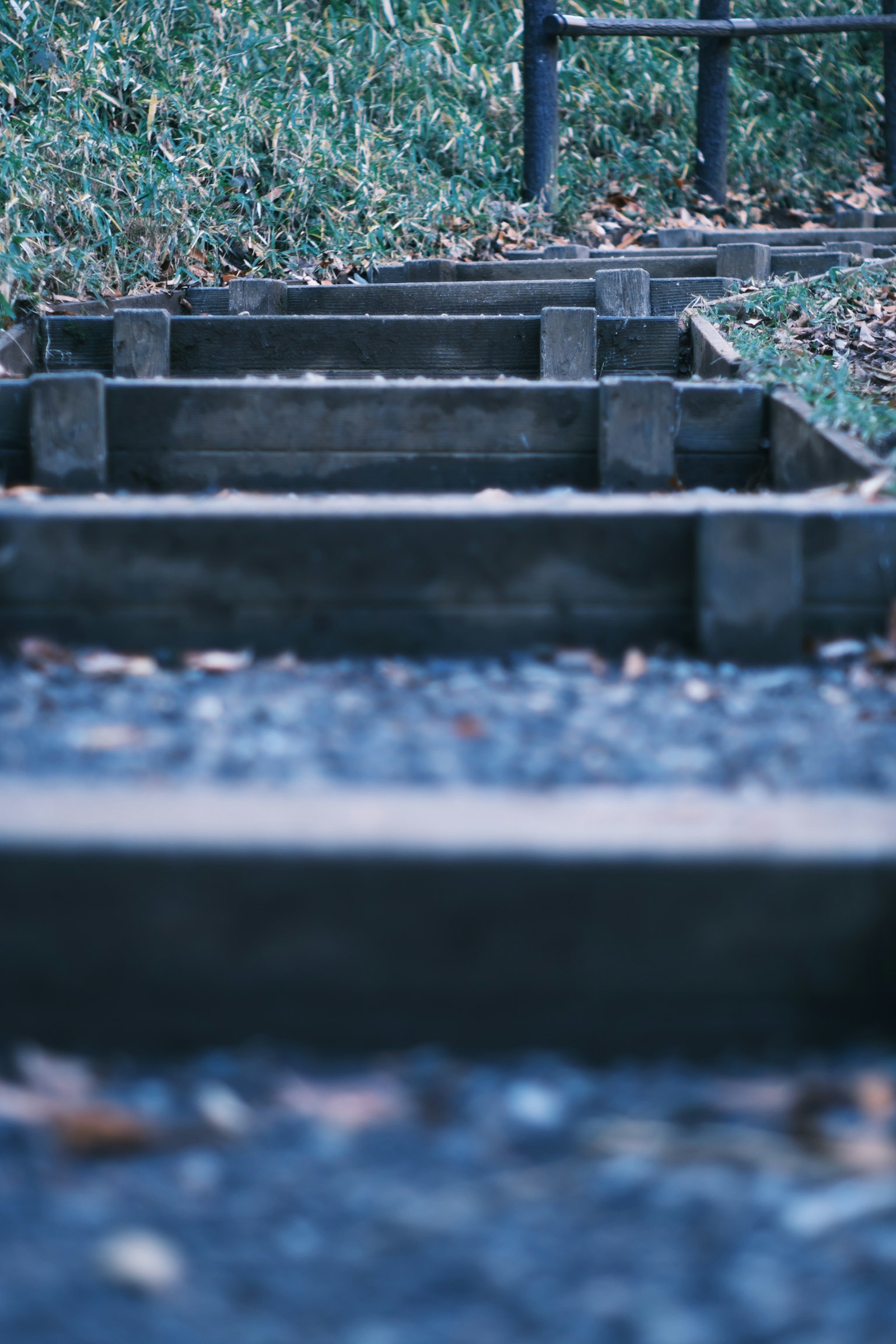 Holztreppe, die durch fallendes Laub führt