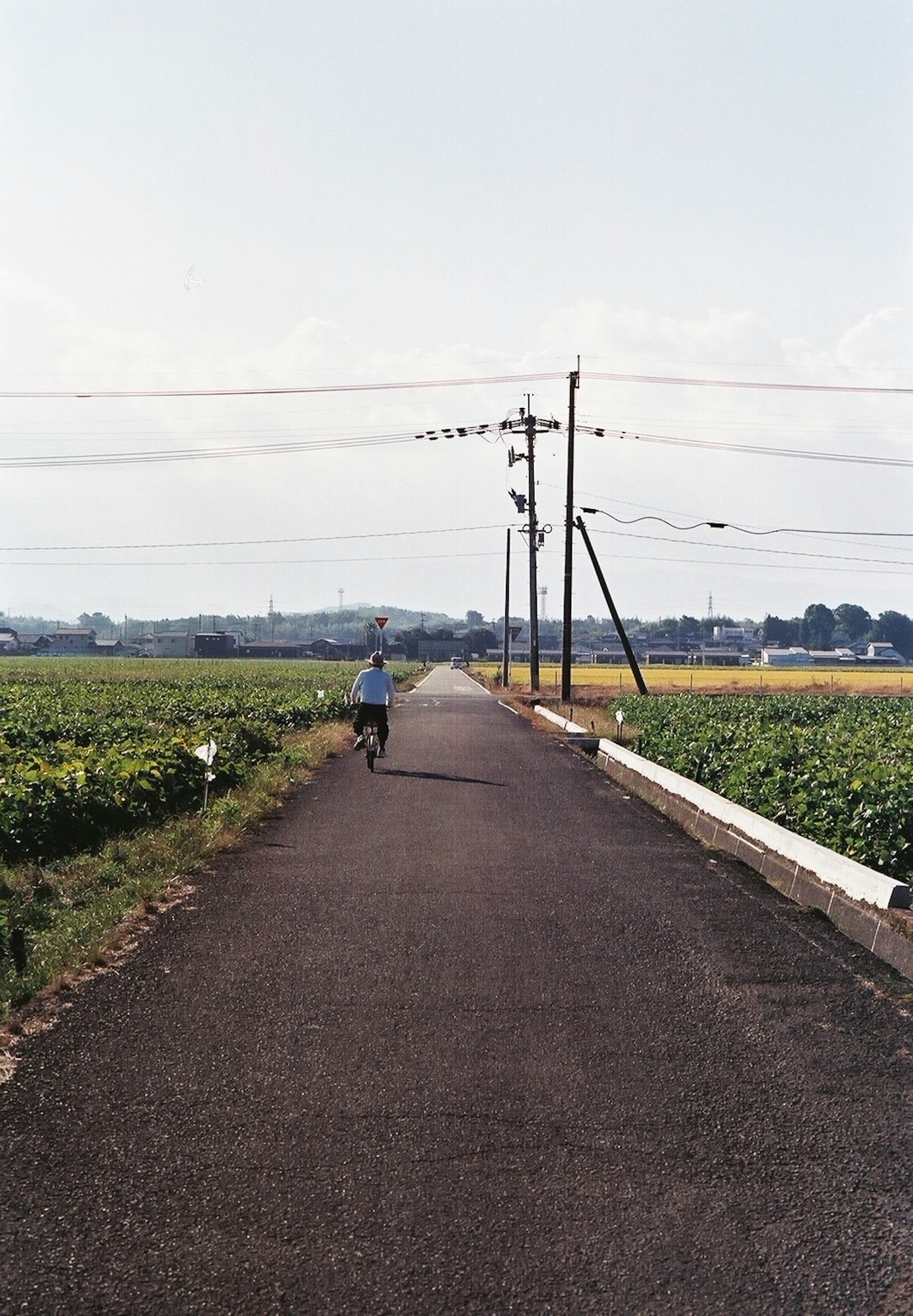 一个人在宽阔的道路上奔跑，两旁是田野