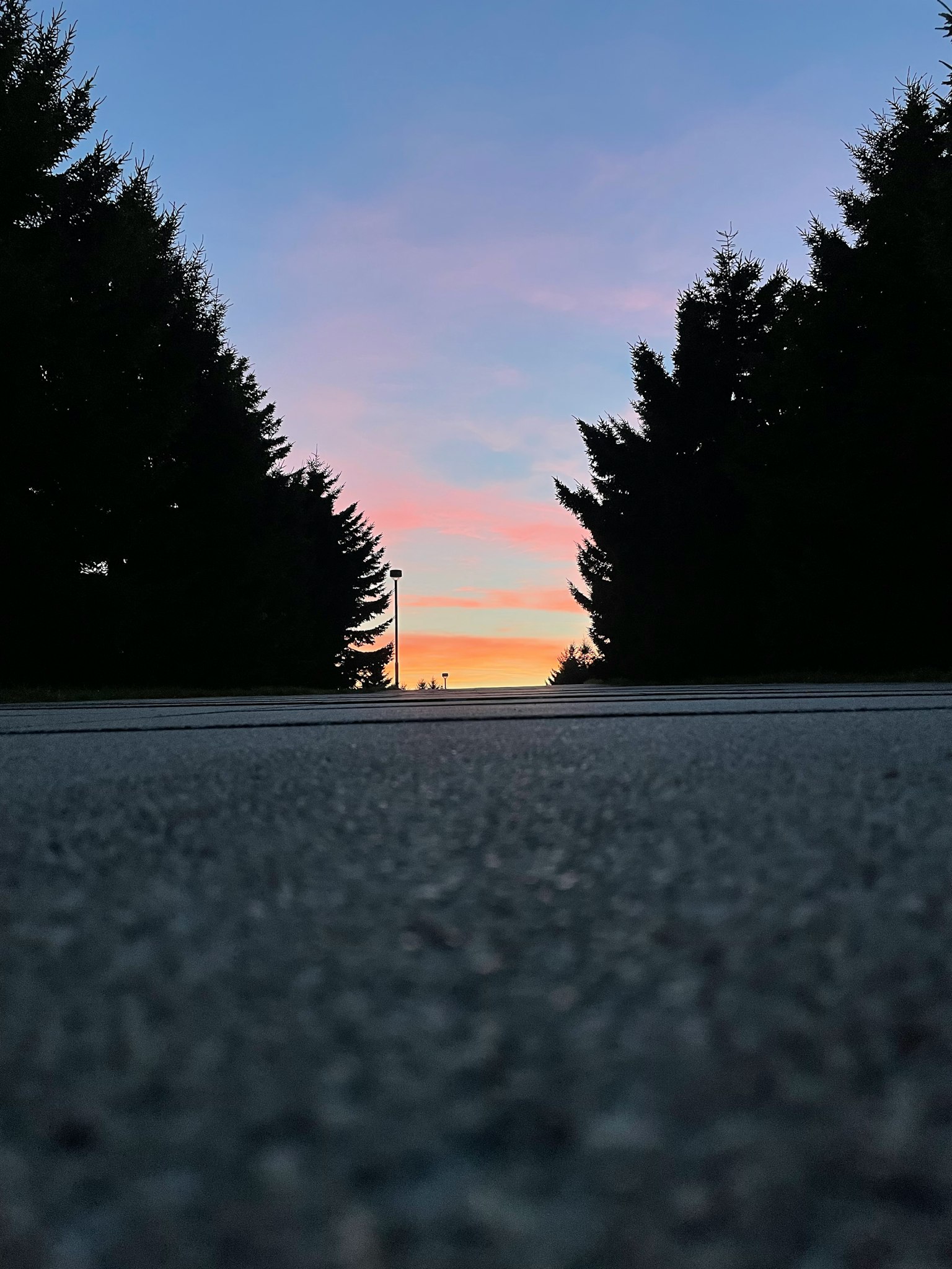 Vista in basso di un tramonto incorniciato da alberi lungo una strada