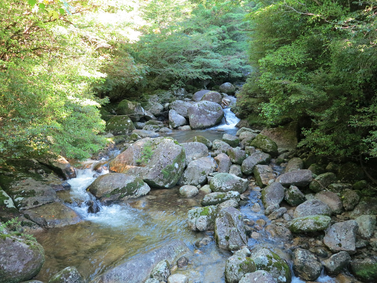 Un ruisseau serein coulant à travers un paysage rocheux entouré de verdure