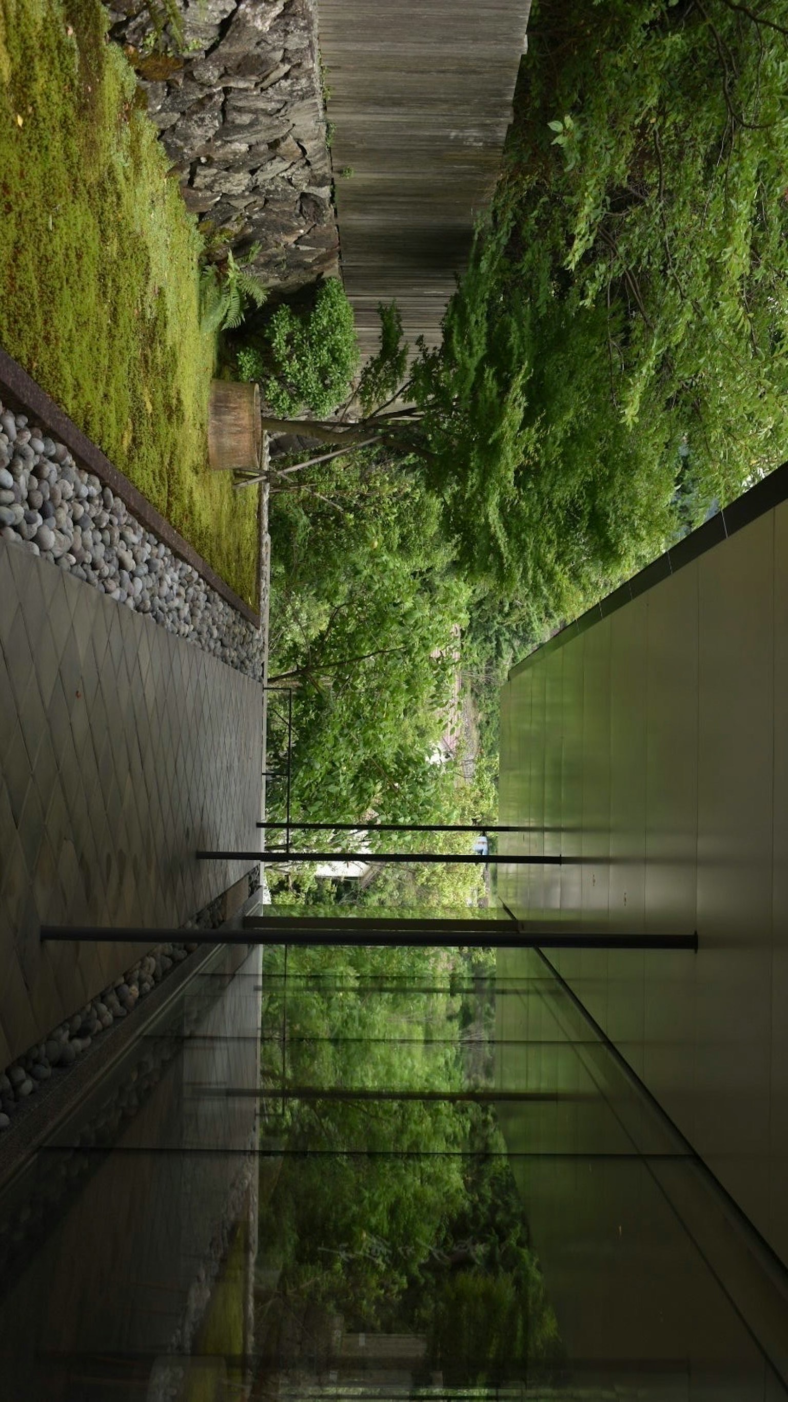 Arquitectura moderna con un jardín exuberante y paredes de vidrio