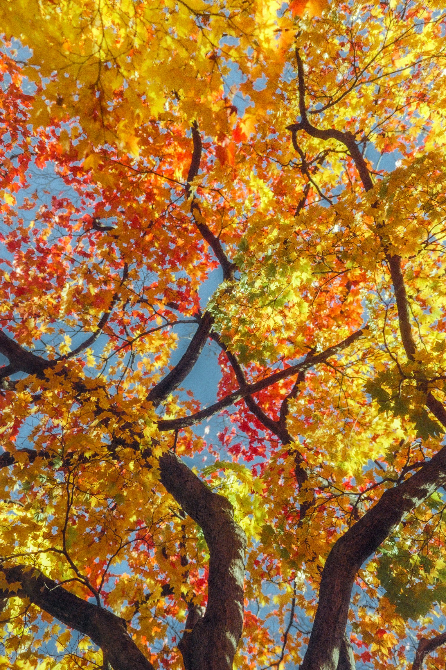 暗い背景にシンプルなグレーのパターン