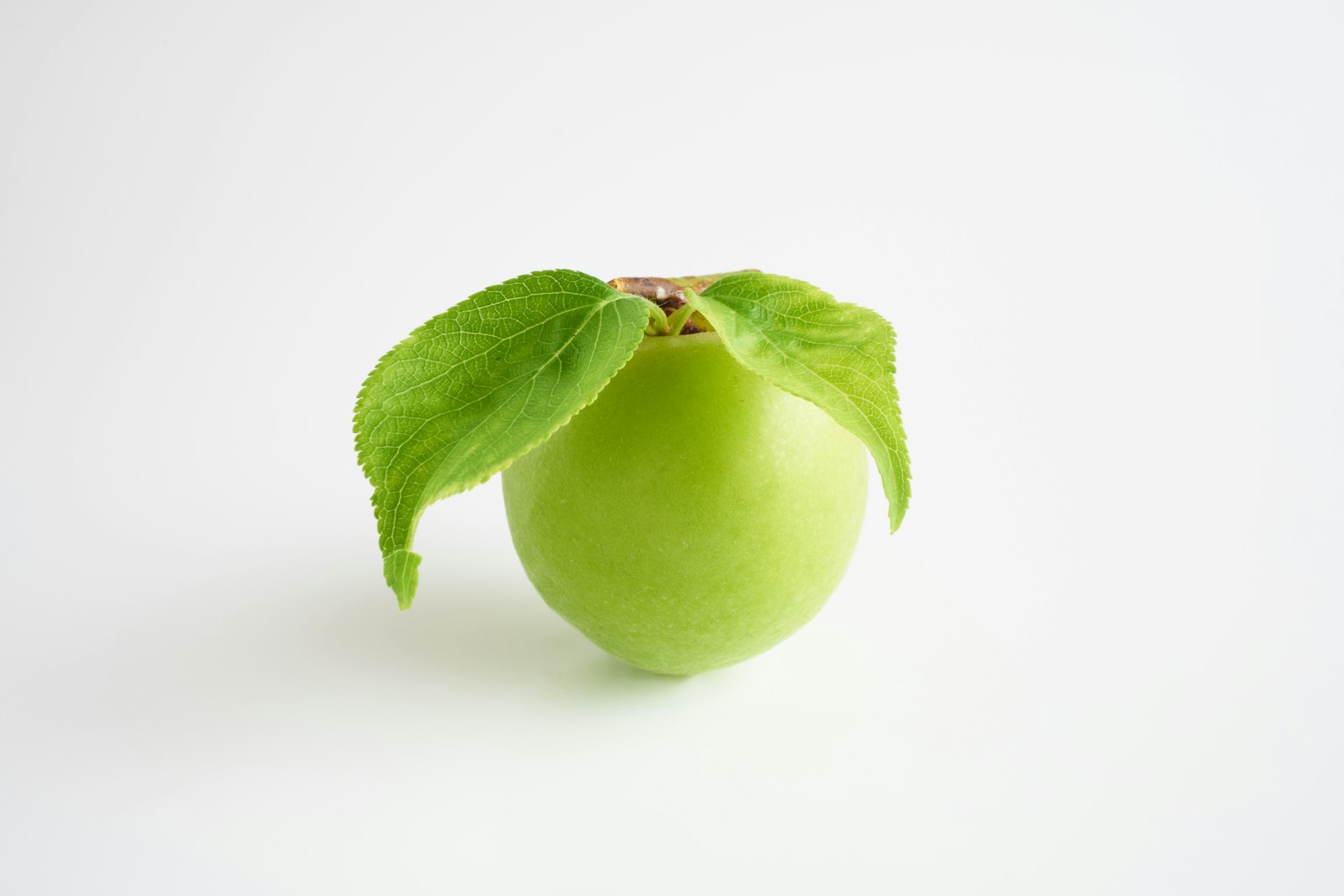 Un fruit vert avec des feuilles sur un fond simple