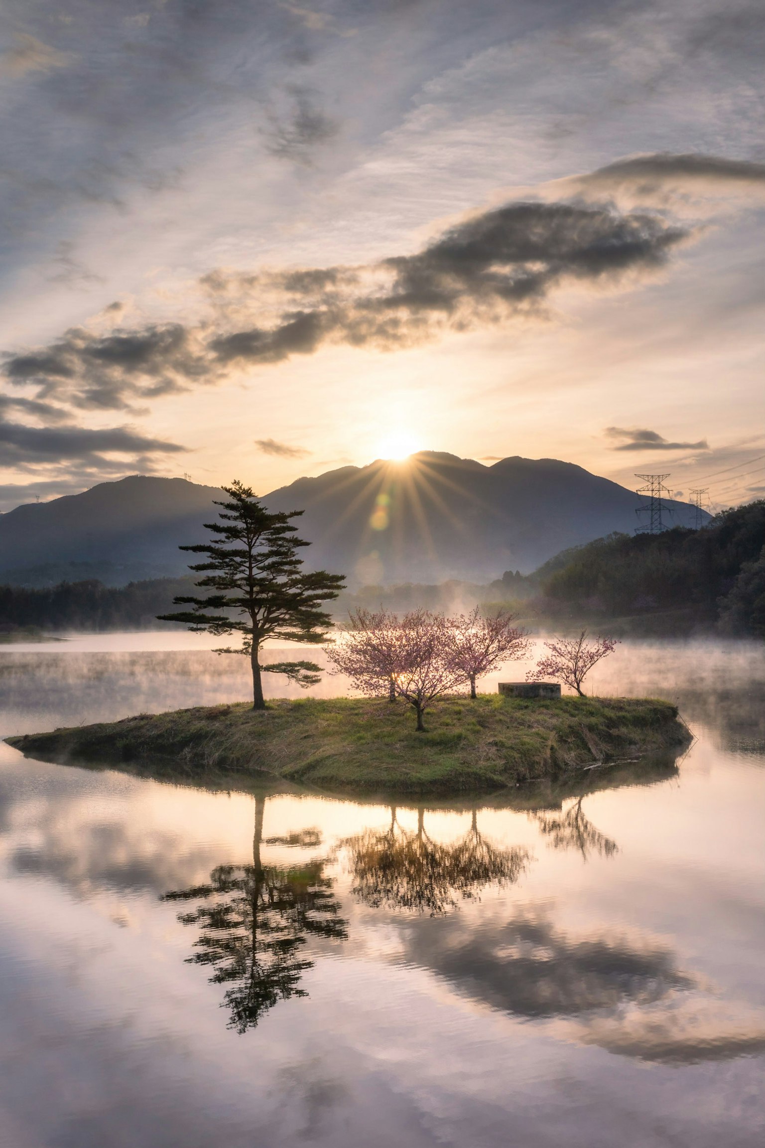 고요한 호수에 비친 산과 섬의 벚꽃 나무 풍경
