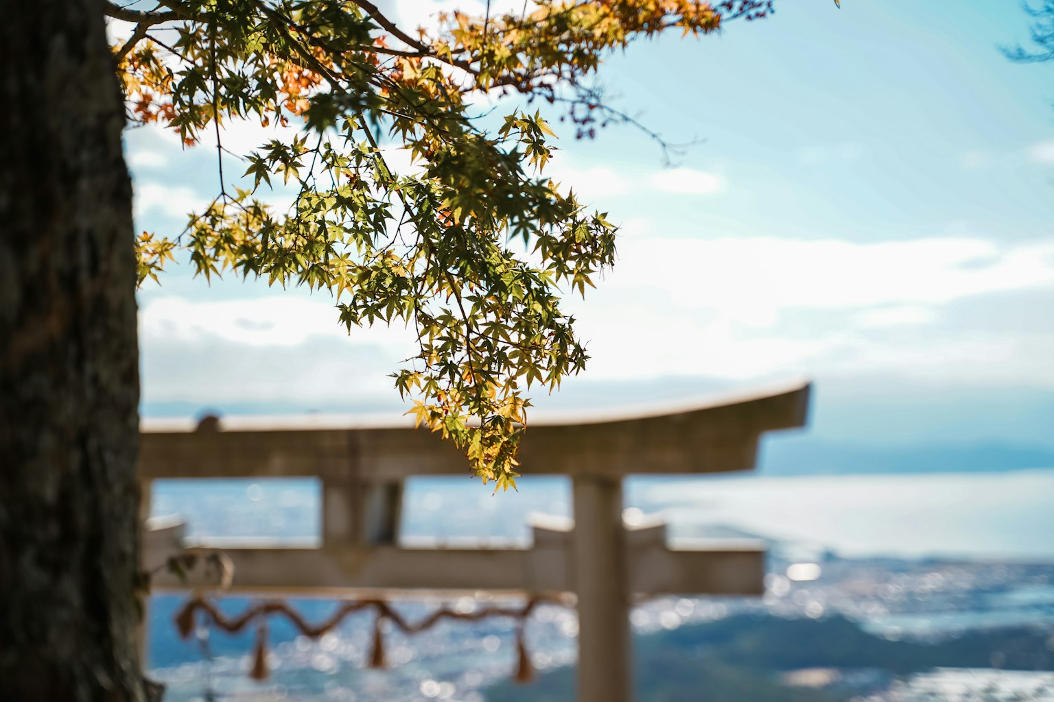 Pemandangan torii yang dikelilingi daun musim gugur dan langit biru