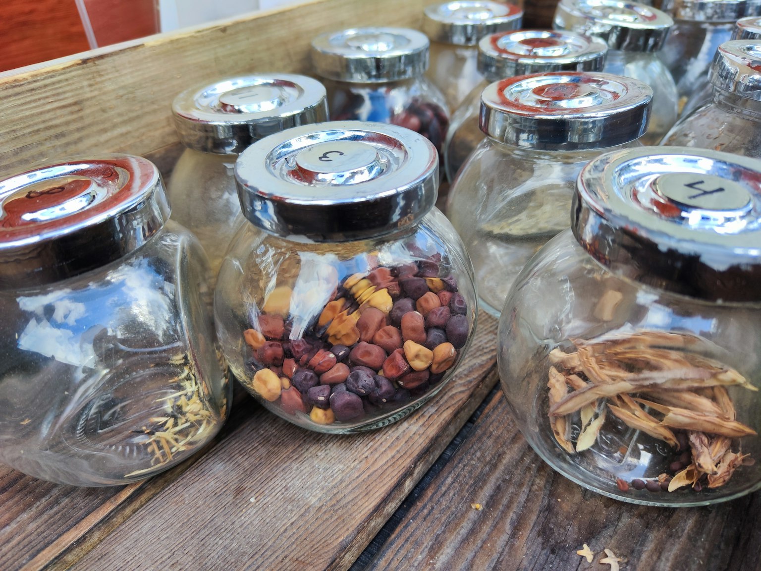 Una collezione di spezie ed erbe in barattoli di vetro