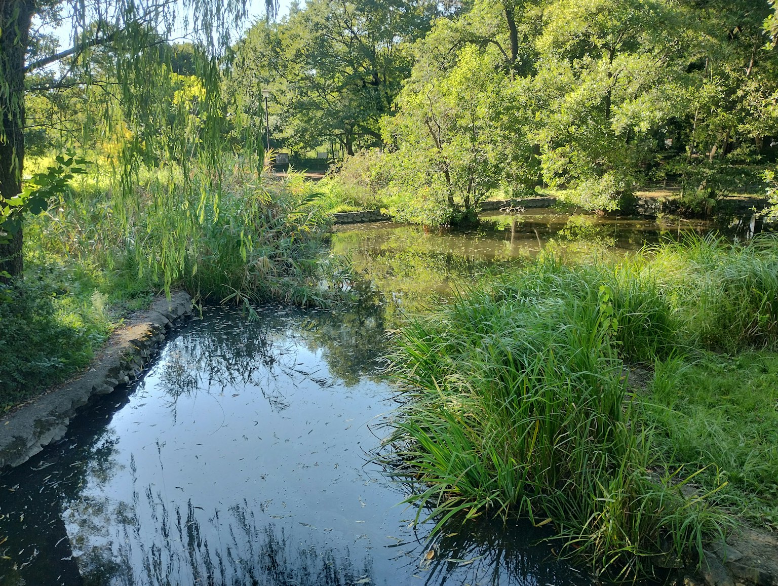 Ruhige Flusslandschaft mit üppigem Grün