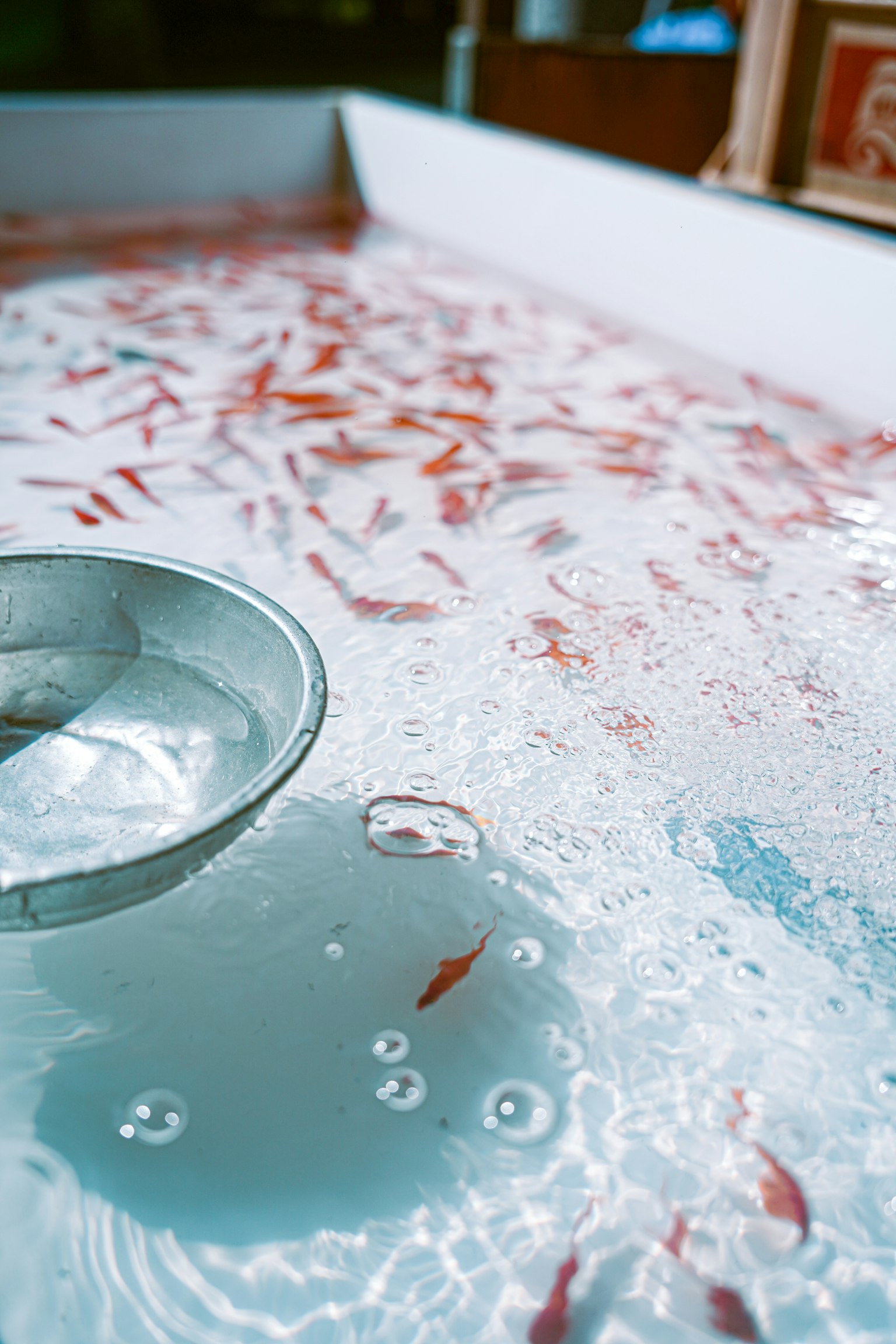 A surface filled with numerous goldfish and a silver bowl