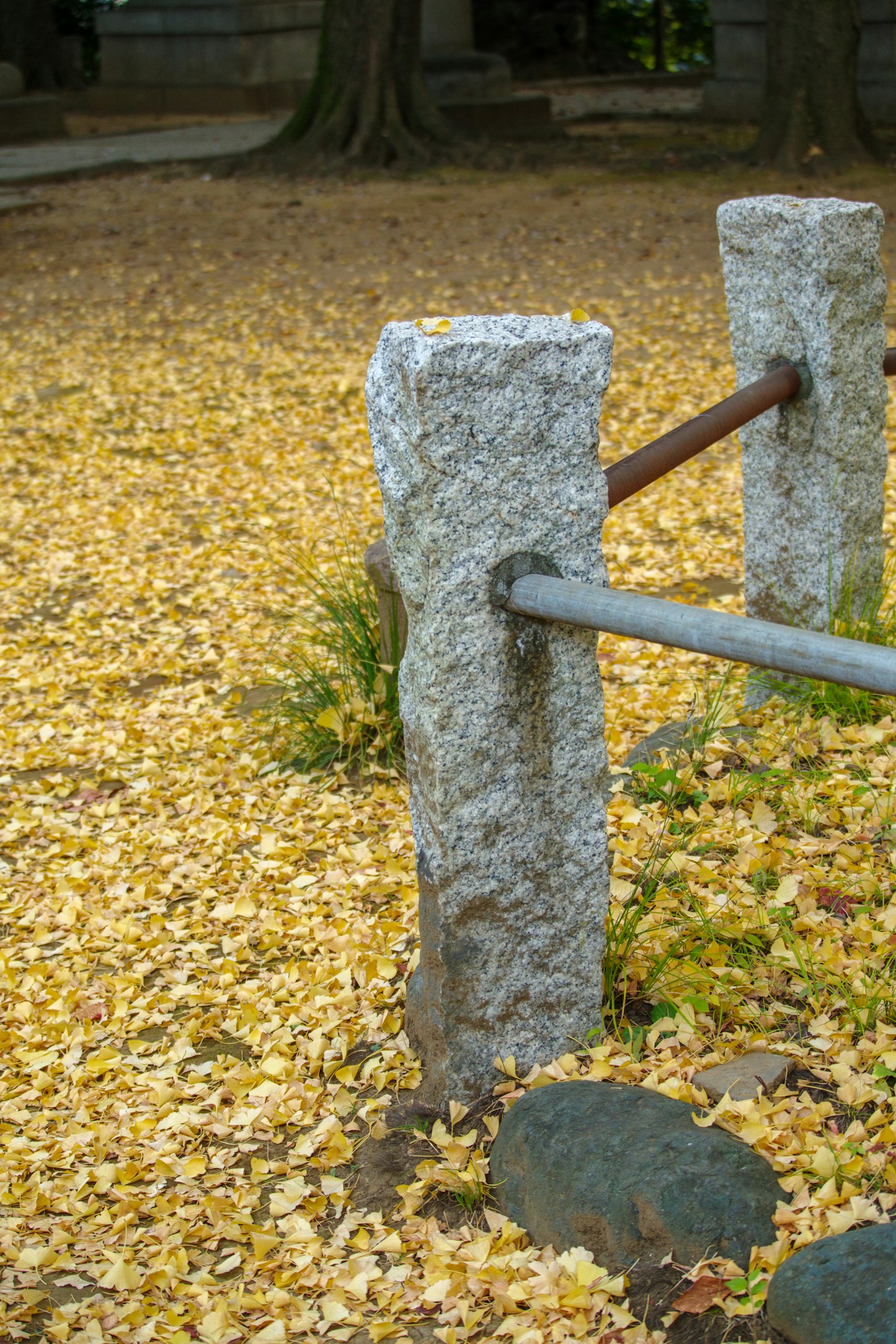 Steinpfosten mit einem Metallgeländer auf einem Bett aus fallenden Blättern