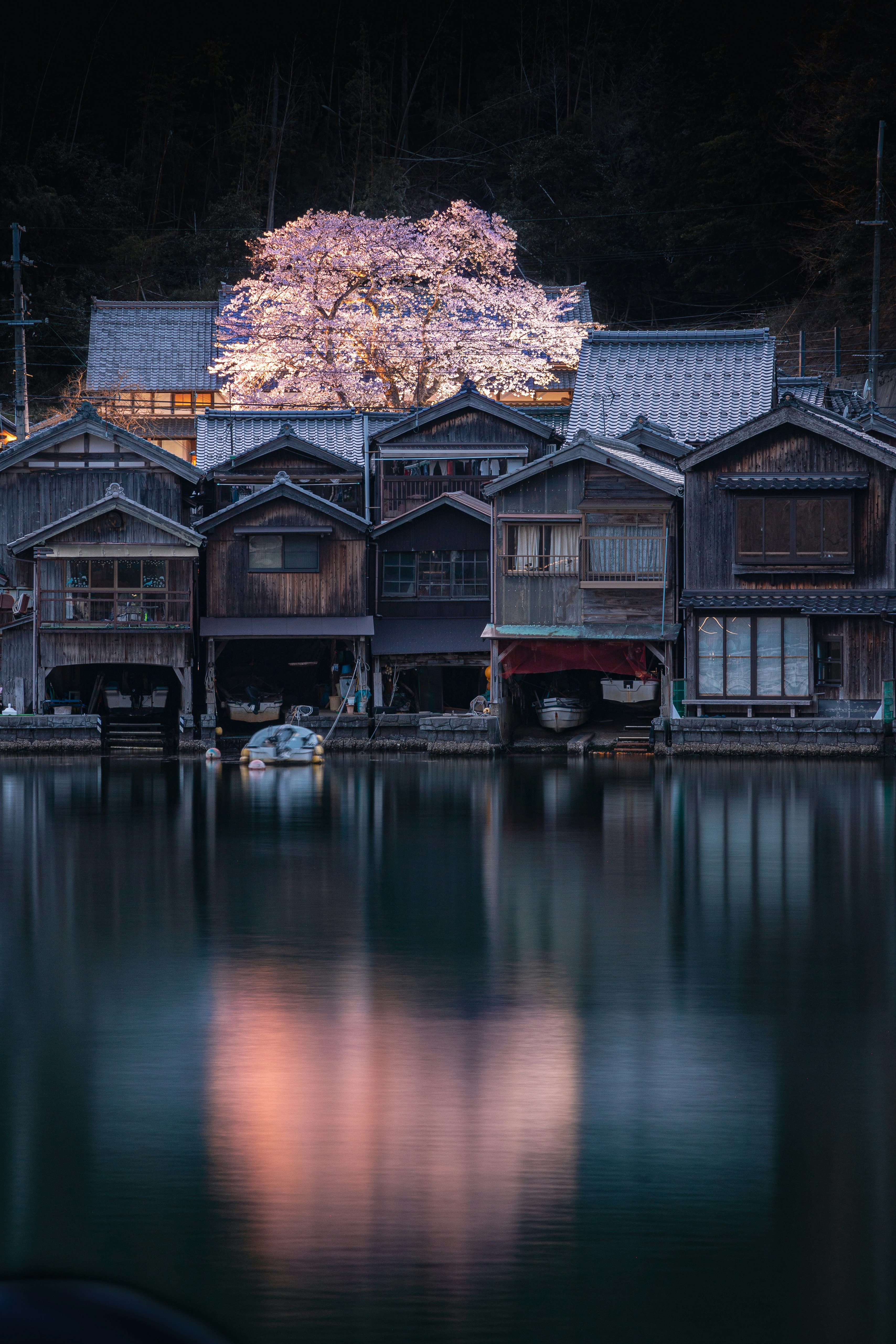 夜の水辺に並ぶ木造の家屋と桜の木