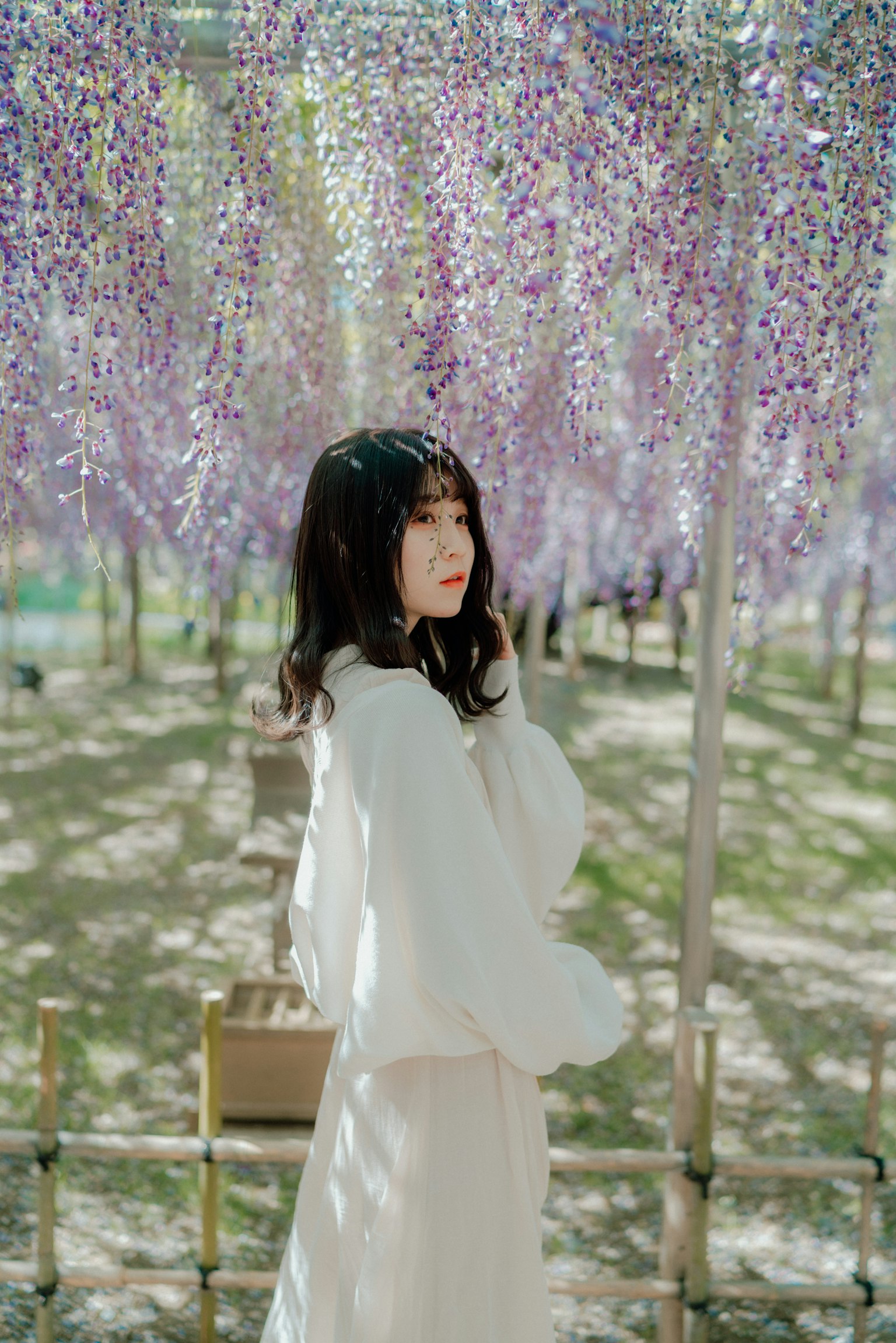 หญิงสาวในชุดสีขาวยืนอยู่ใต้ดอกวิสทีเรียสีม่วง