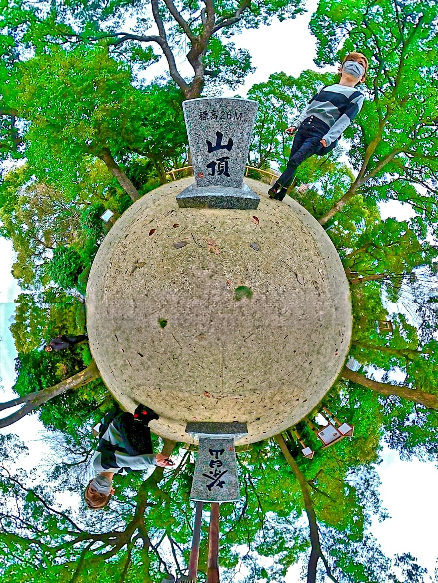 圓形石碑被綠色葉子包圍，帶有日文銘文