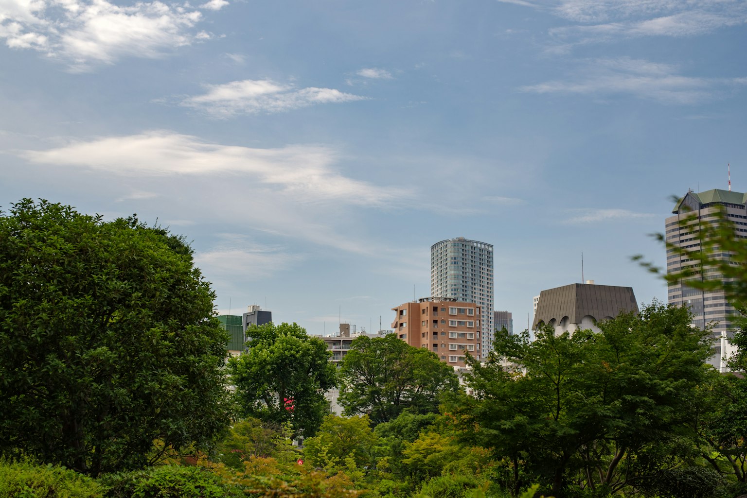 蓝天白云下的城市景观与绿树