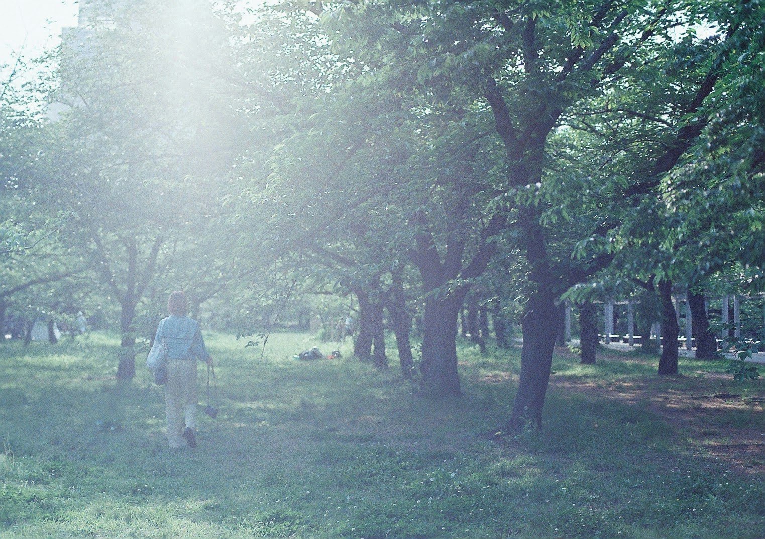 photo-0xkfZVZCK2ZSOekSbm5M