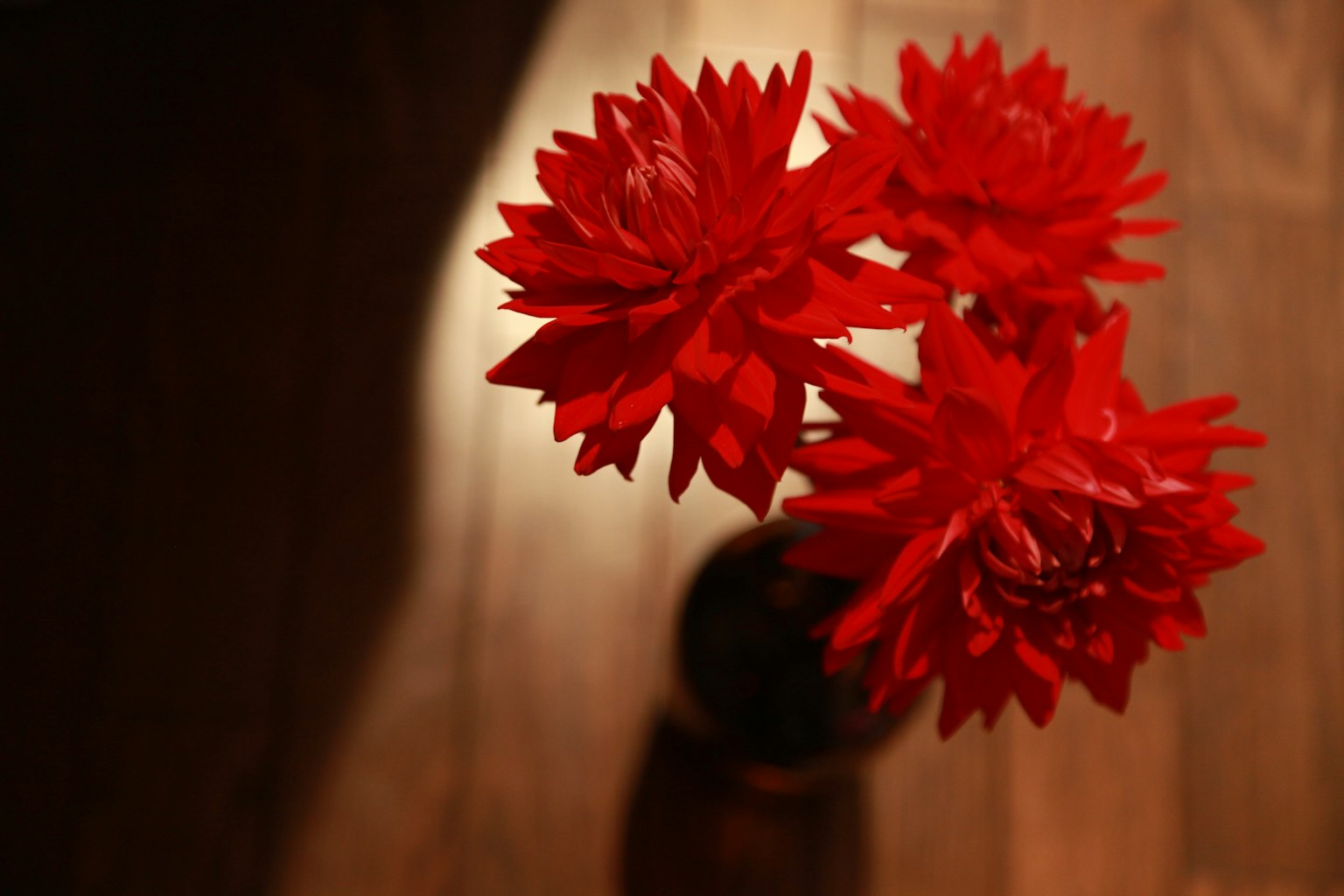 Top view of red flowers in a vase