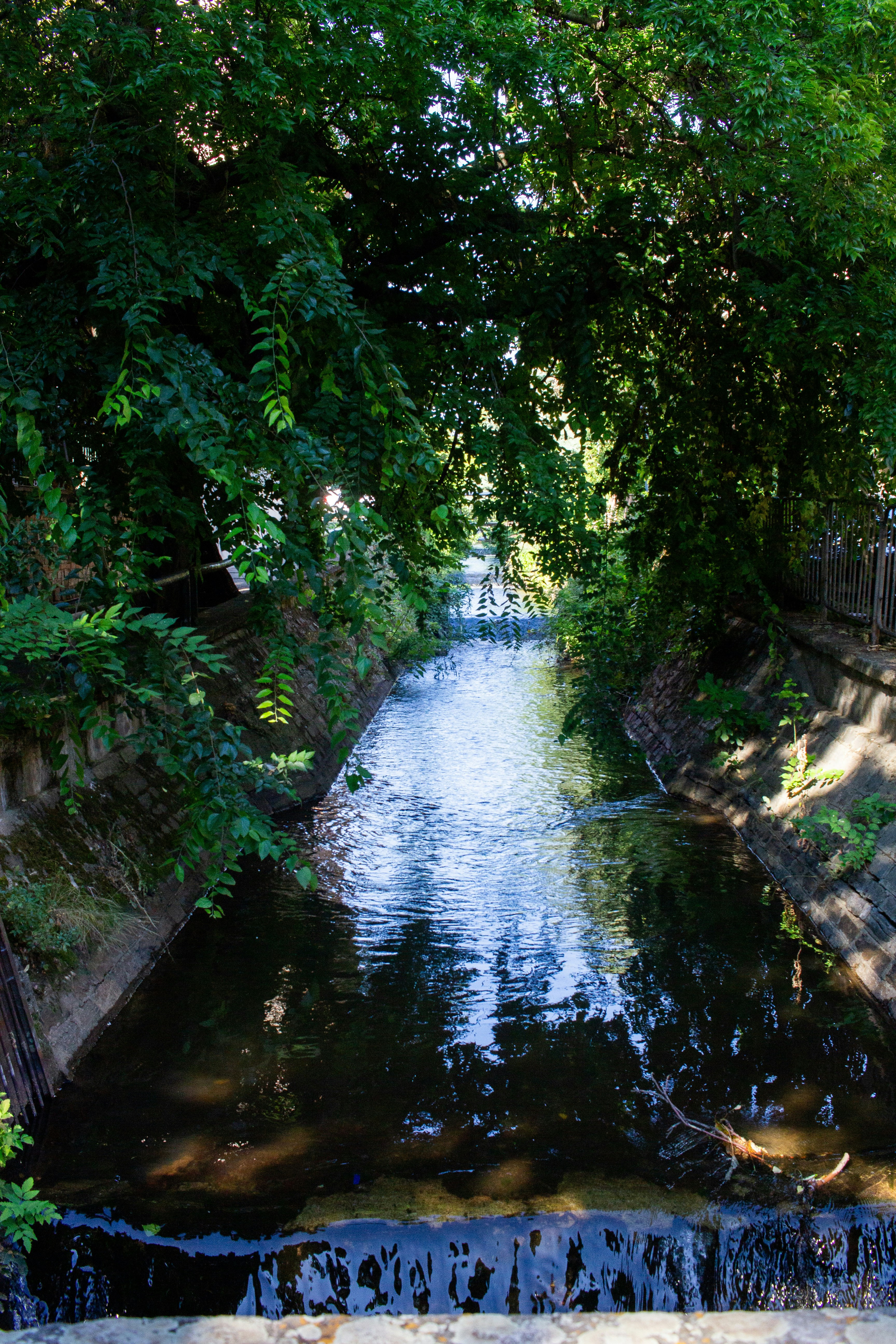 緑に囲まれた小川の流れと石積みの水路
