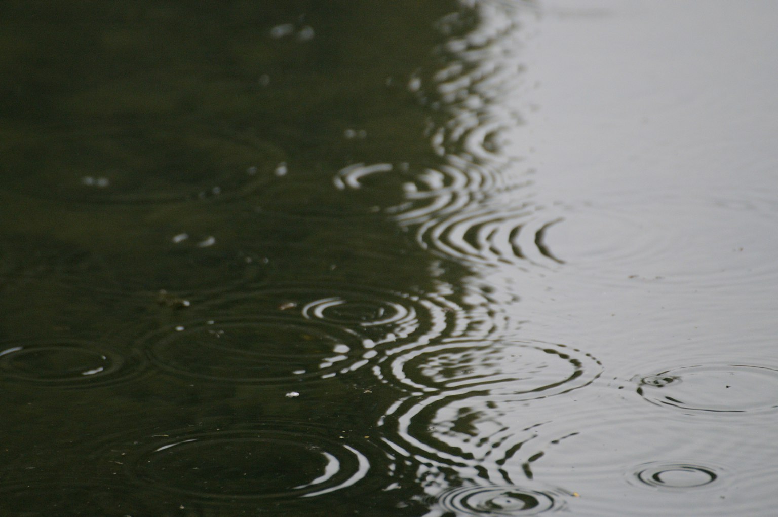 Wellen auf einer ruhigen Wasseroberfläche durch fallenden Regen