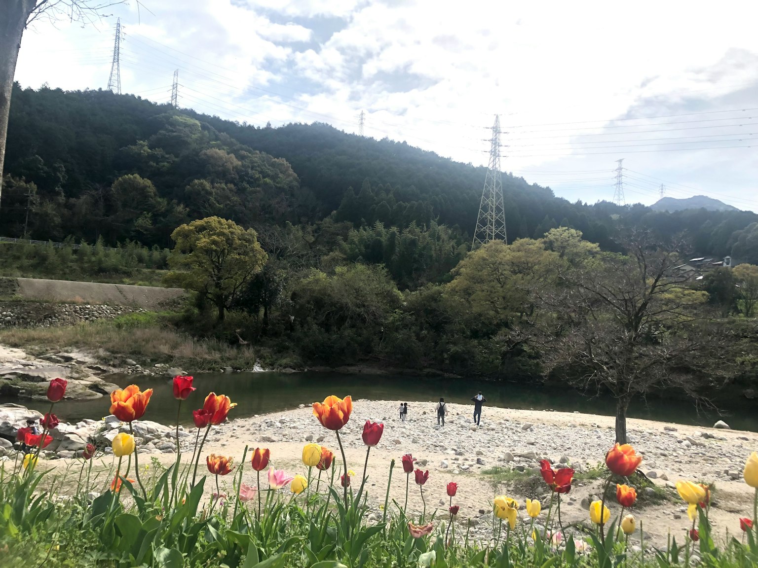 Bunte Tulpen blühen am Fluss mit Bergen im Hintergrund