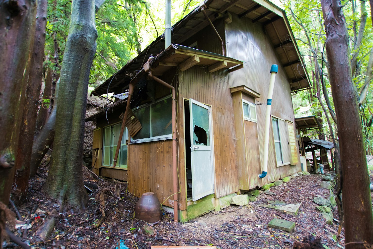 Äußere eines alten Holzhauses, das im Wald steht