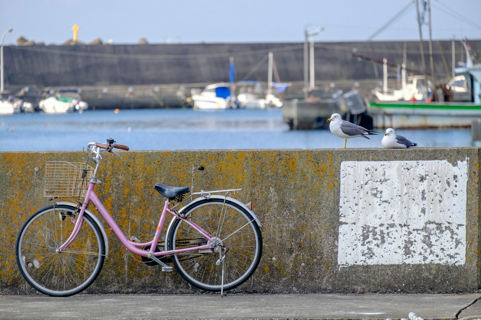 Un vélo rose adossé à un mur près du port