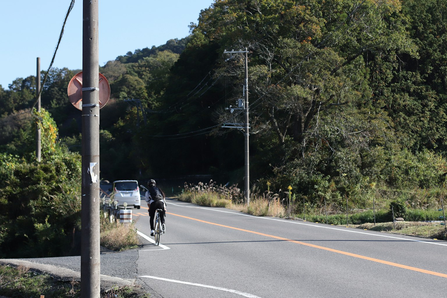 A cyclist riding on the road surrounded by greenery and a car