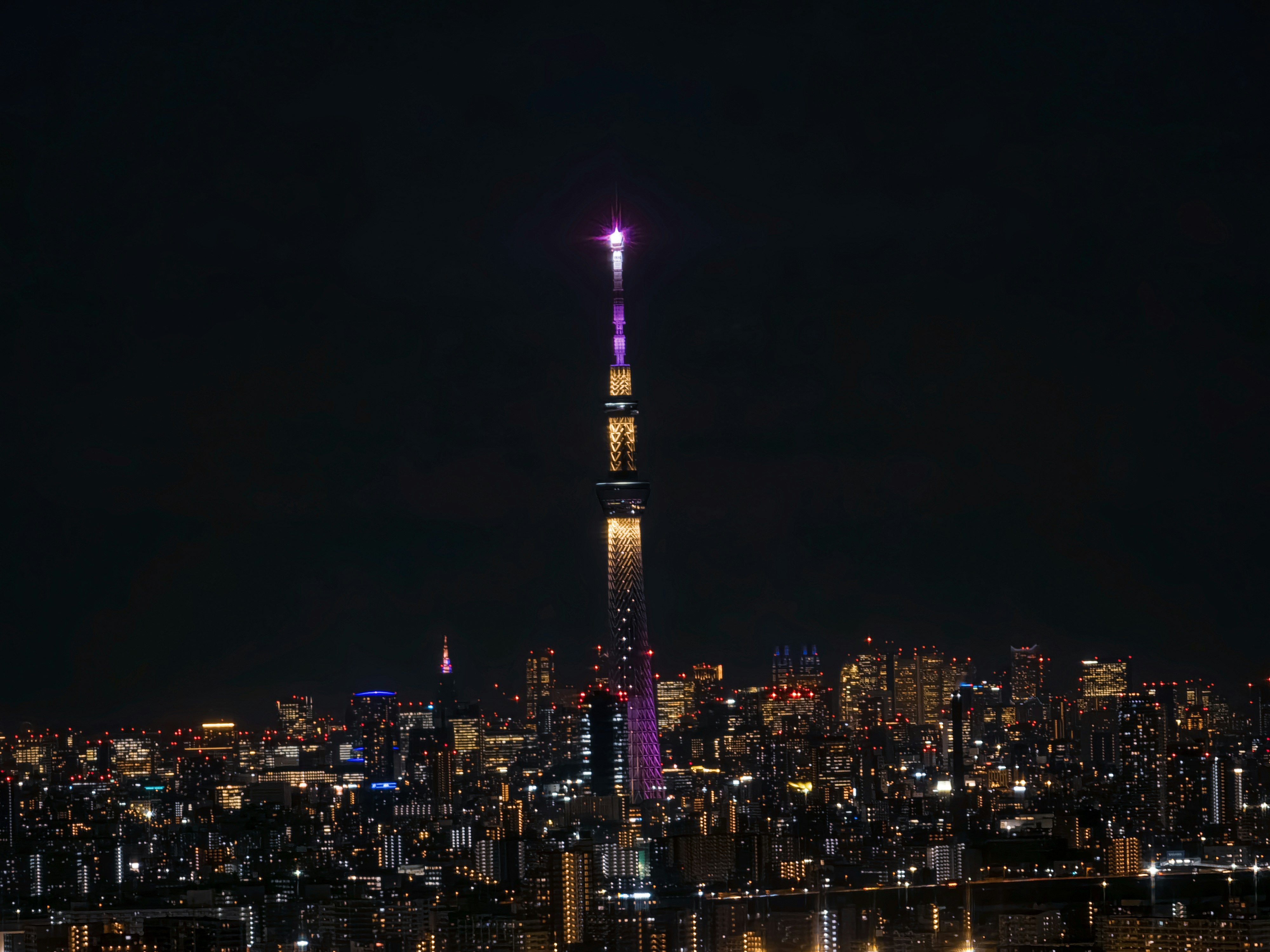 東京スカイツリーの夜景を望む大都市のスカイライン