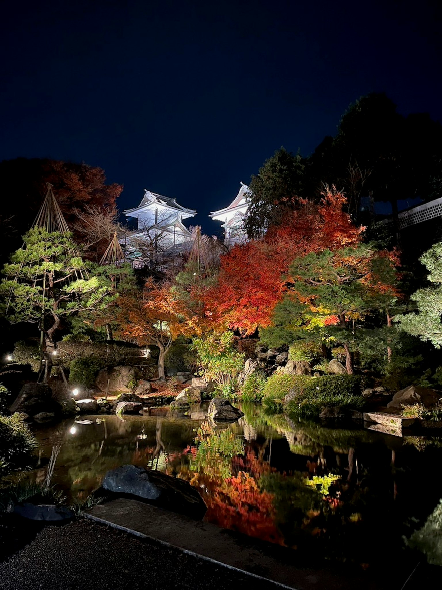 Hermosa escena de un jardín japonés de noche con hojas de otoño reflejándose en el agua