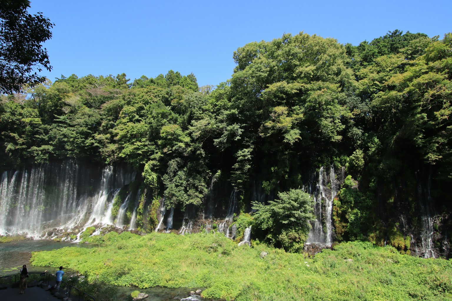 Vista panoramica di una cascata circondata da una foresta lussureggiante