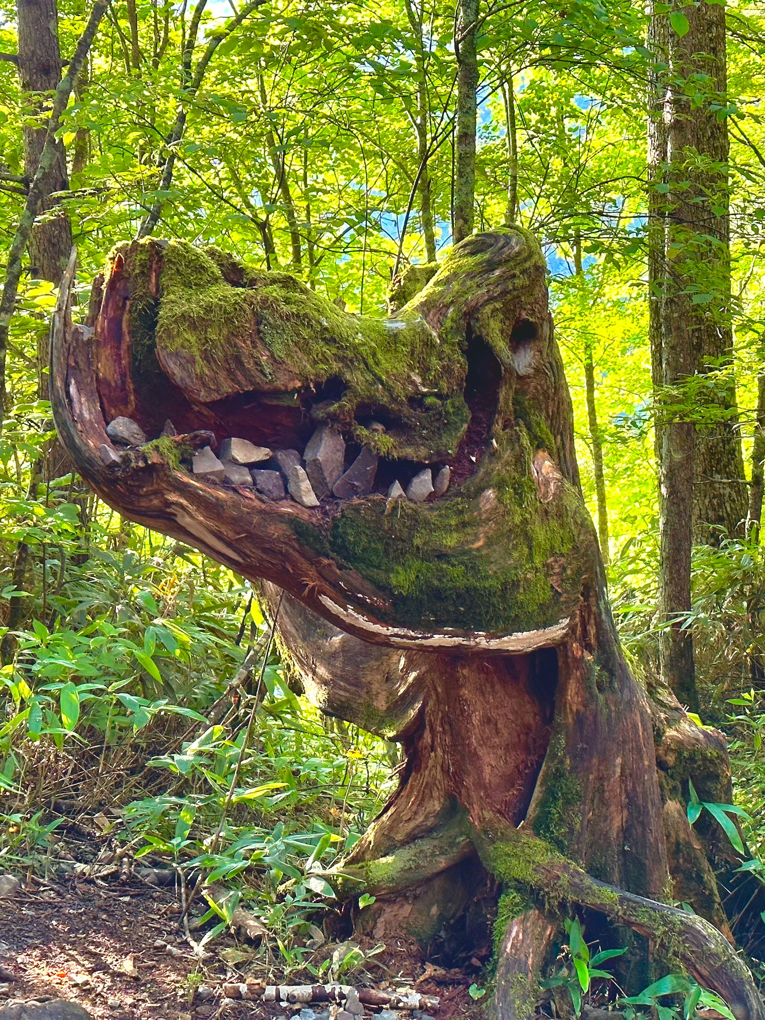 Une souche d'arbre couverte de mousse ressemblant à un visage de créature dans une forêt