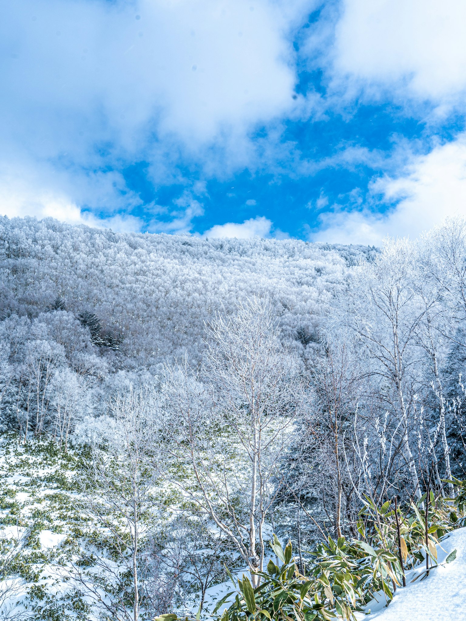 藍天下的雪山