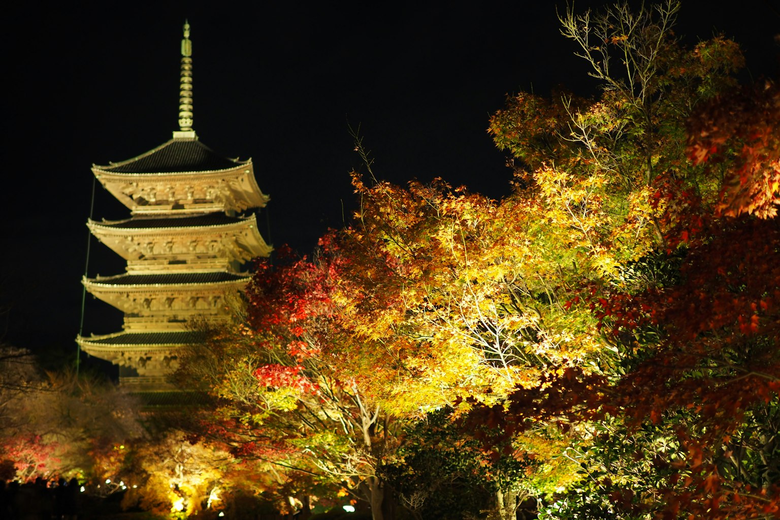 Vista nocturna de una pagoda rodeada de vibrante follaje otoñal